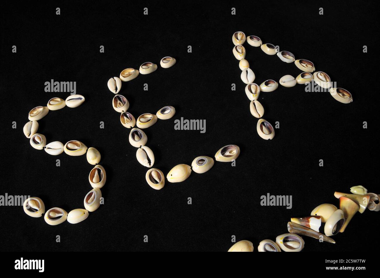 The Word Shell Made of Sea Shells and Black Background Stock Photo Alamy