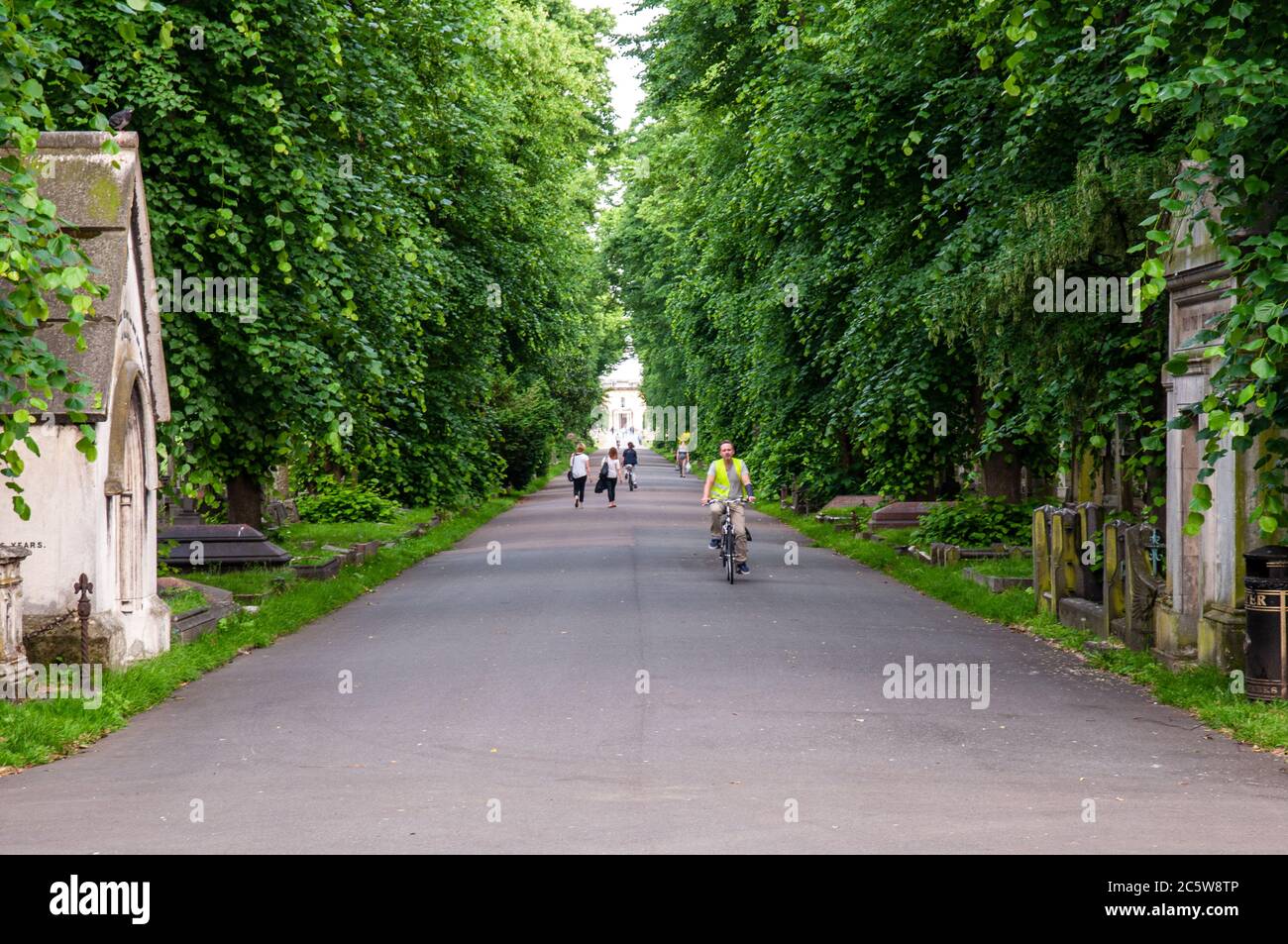 London, England, UK - June 18, 2013: Cyclists and pedestrians travel through the wooded Brompton Cemetery in west London. Stock Photo