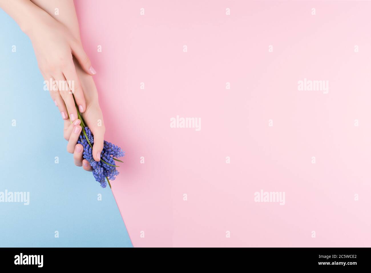 Beautiful delicate women's hands with a stylish pink manicure on a pink