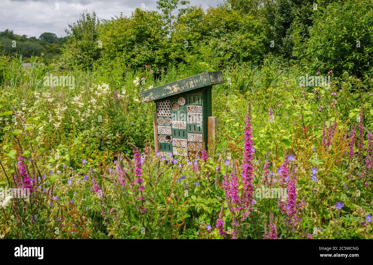 Bug hotel in a flowery summery setting at the Wildfowl & Wetlands Trust in Arundel. West Sussex, south-east England Stock Photo
