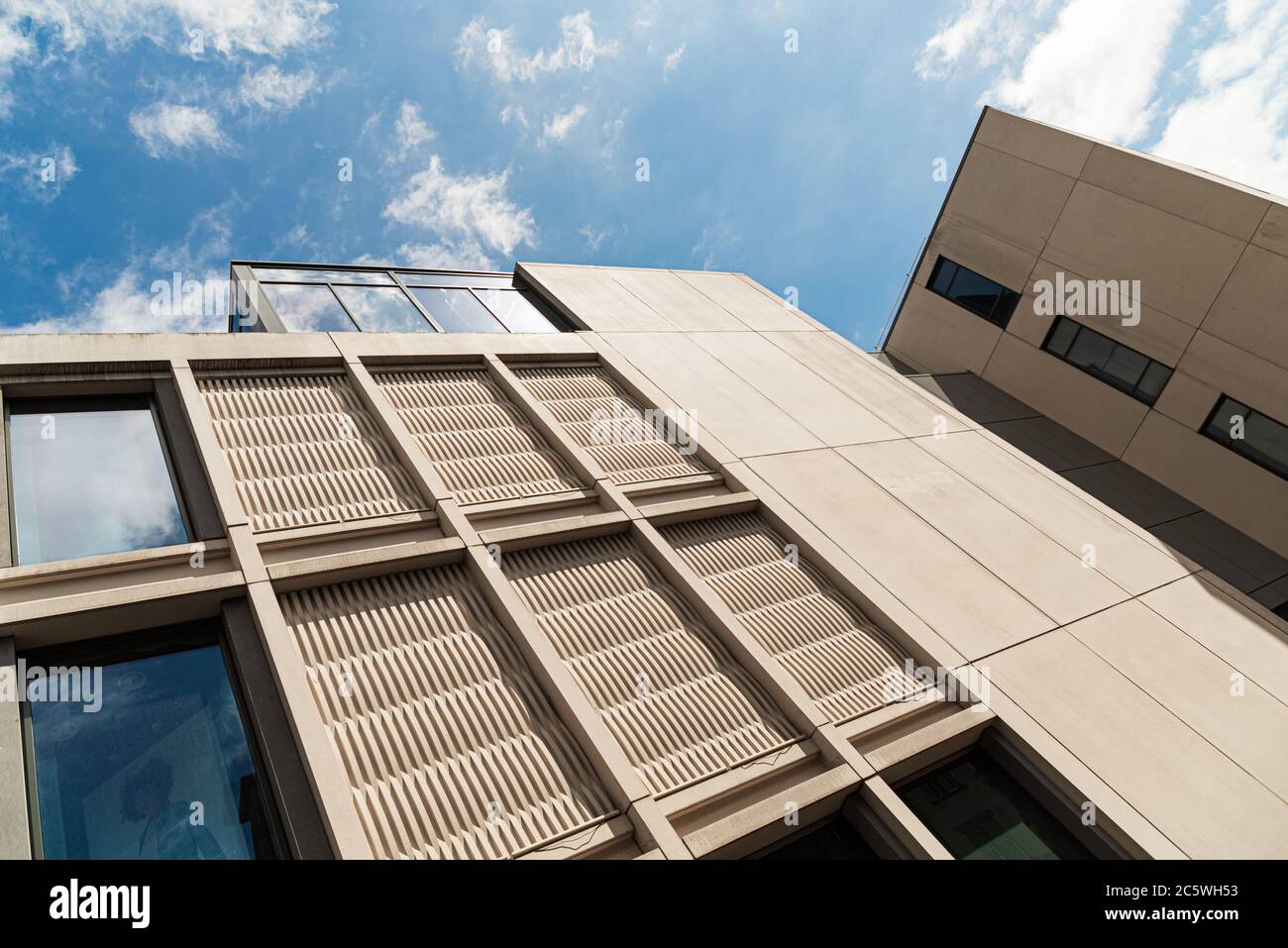 Building frog hi-res stock photography and images - Alamy