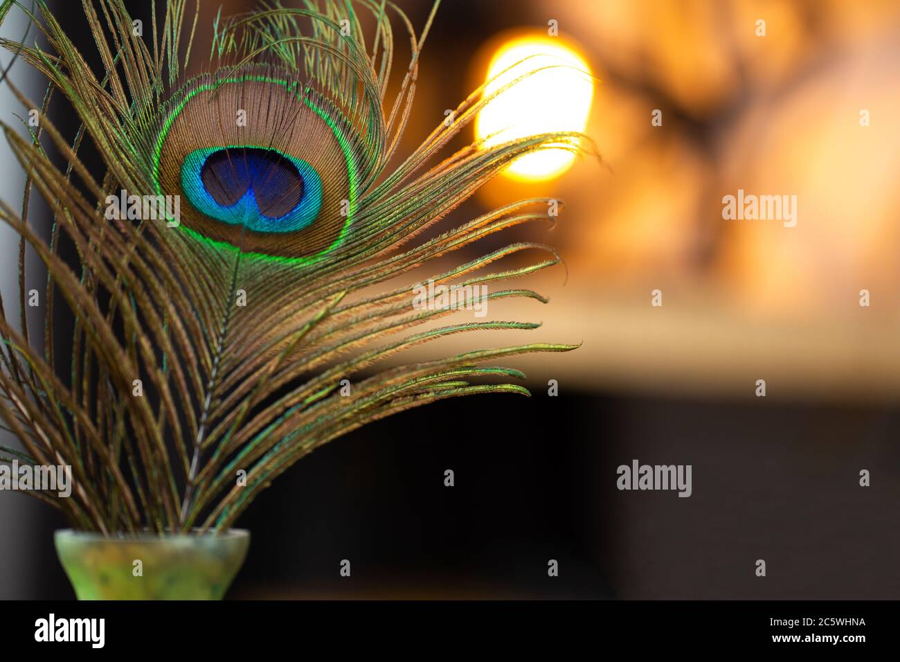 Peacock feather with glitter hi-res stock photography and images - Alamy