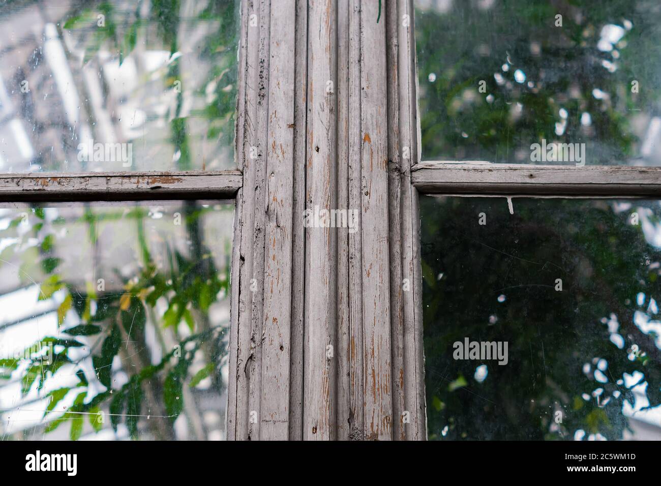 old wooden window frame with dirty glass. Green trees behind the window ...