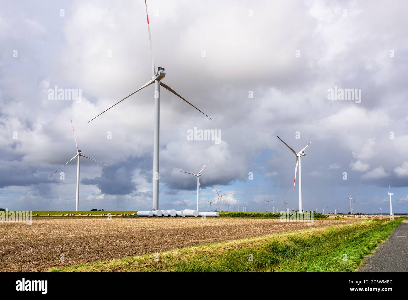 Windpark an einem Deich an der Nordseeküste während der Getreideernte Stock Photo