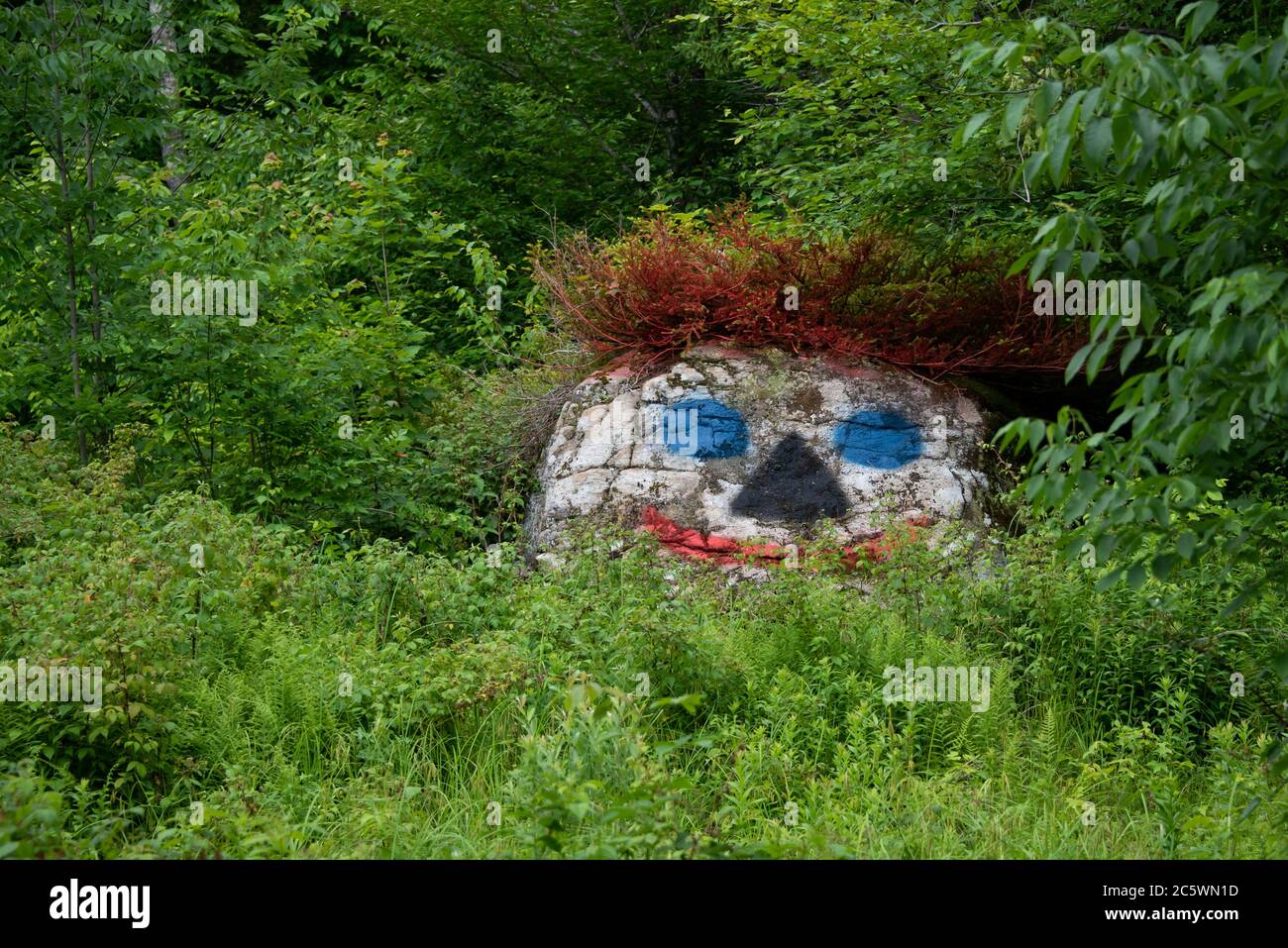 A large rock in the Adirondack Mountains, NY USA  wilderness painted with a funny face Stock Photo