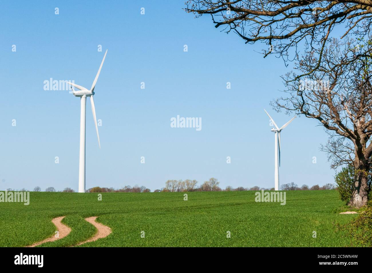 Windkraftanlagen auf einem Feld In Schleswig-Holstein Stock Photo