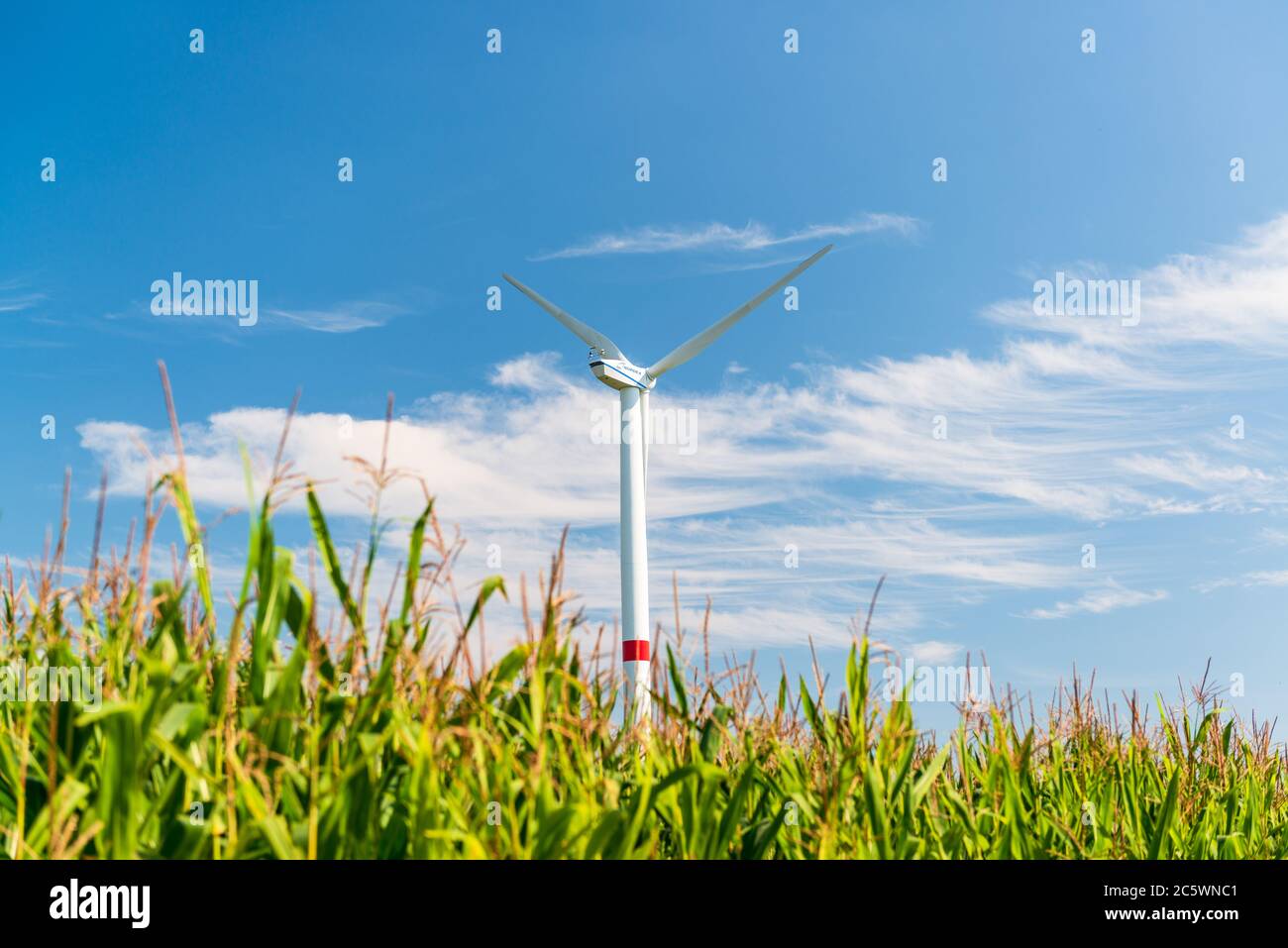 Windkraftanlagen auf einem Feld in Schleswig-Holstein Stock Photo