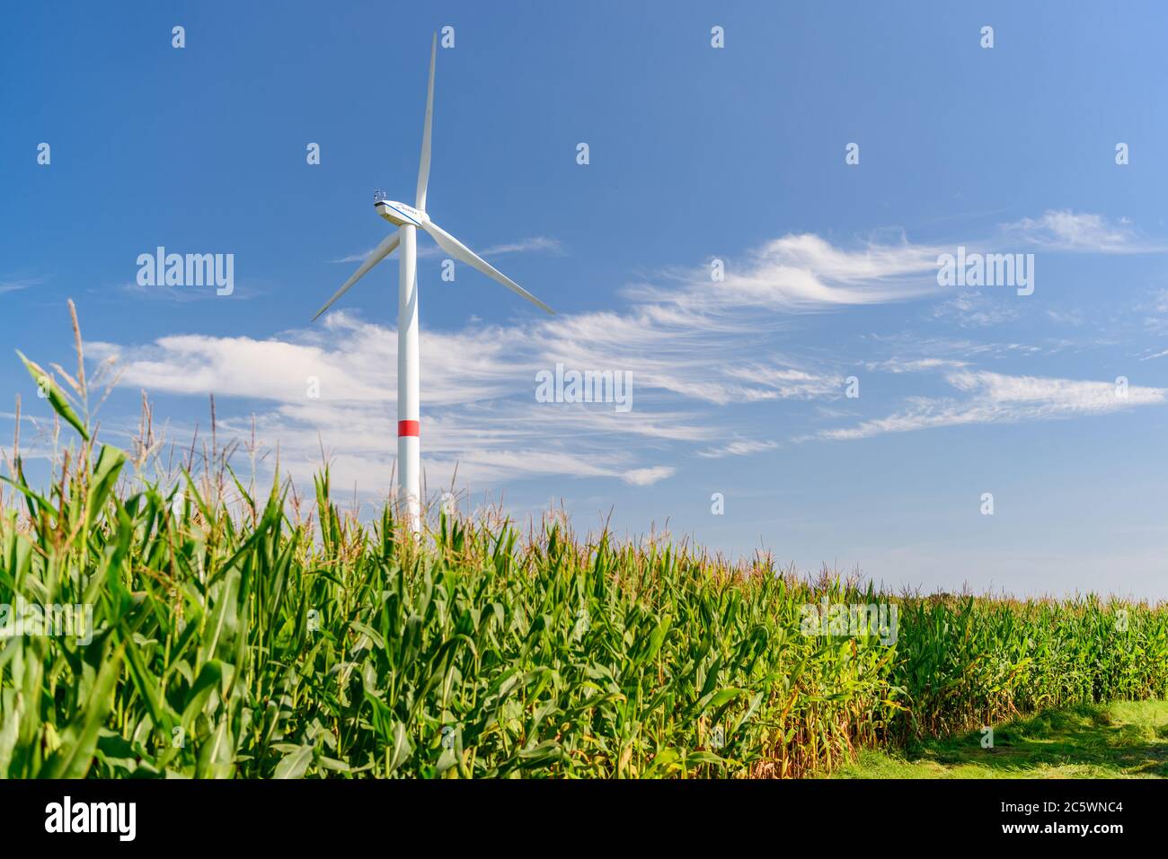 Windkraftanlagen auf einem Feld in Schleswig-Holstein Stock Photo