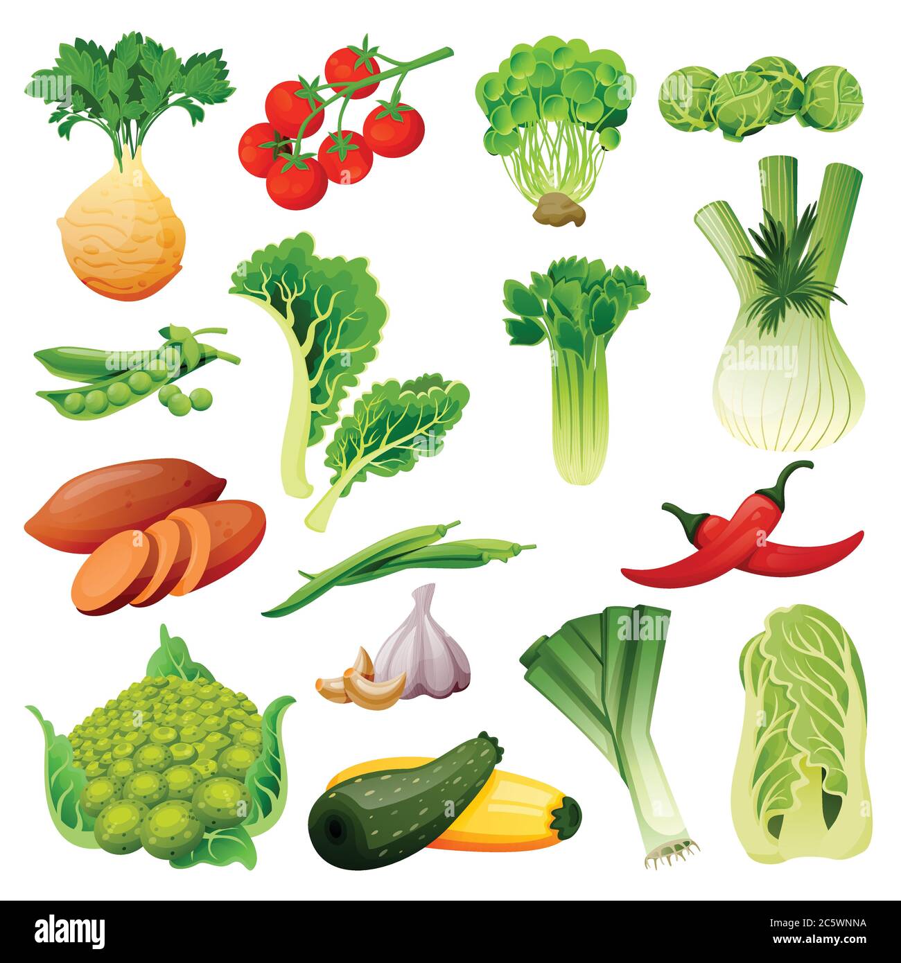 Farm fresh vegetables set. Vector flat cartoon illustration. Isolated celery, tomato, brussels cabbage, peas, leek and green beans. Autumn farming and Stock Vector