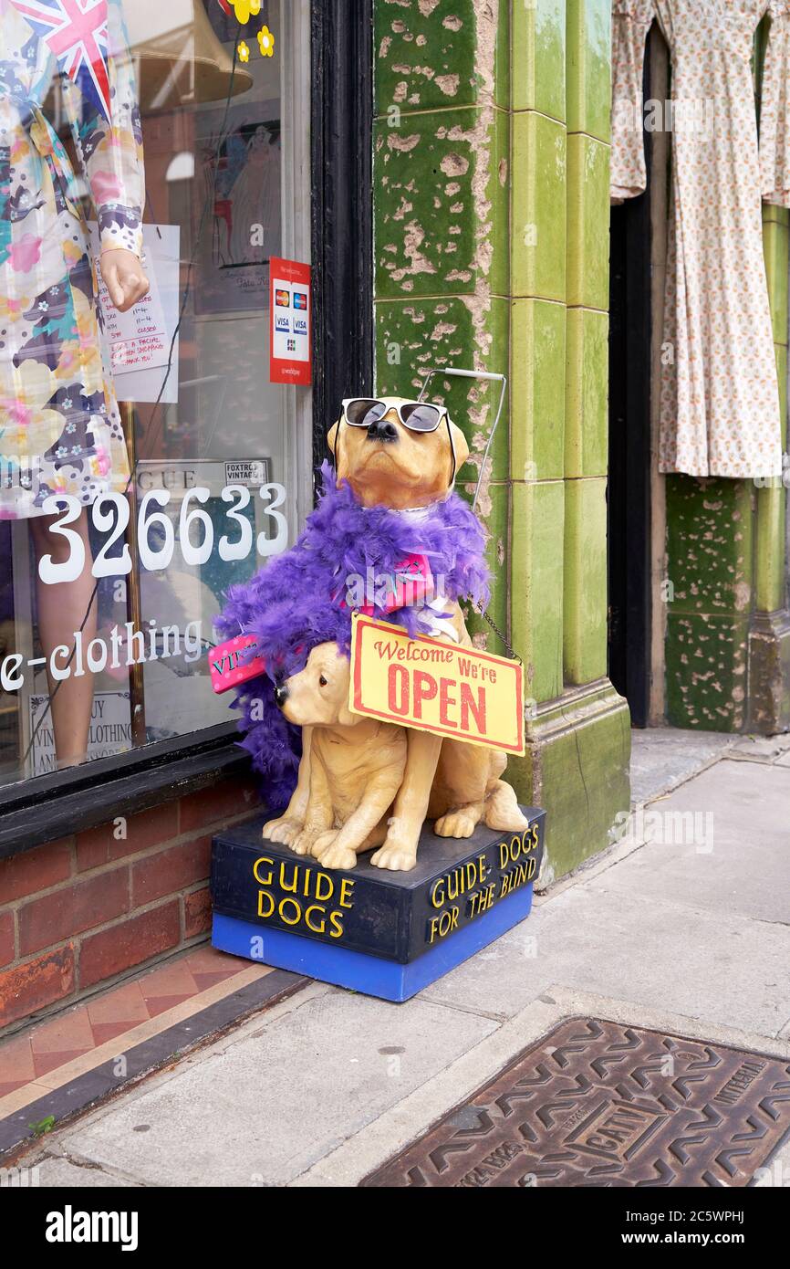 Guide dogs for the blind charity collection box dressed in sunglasses and feather boa Stock Photo