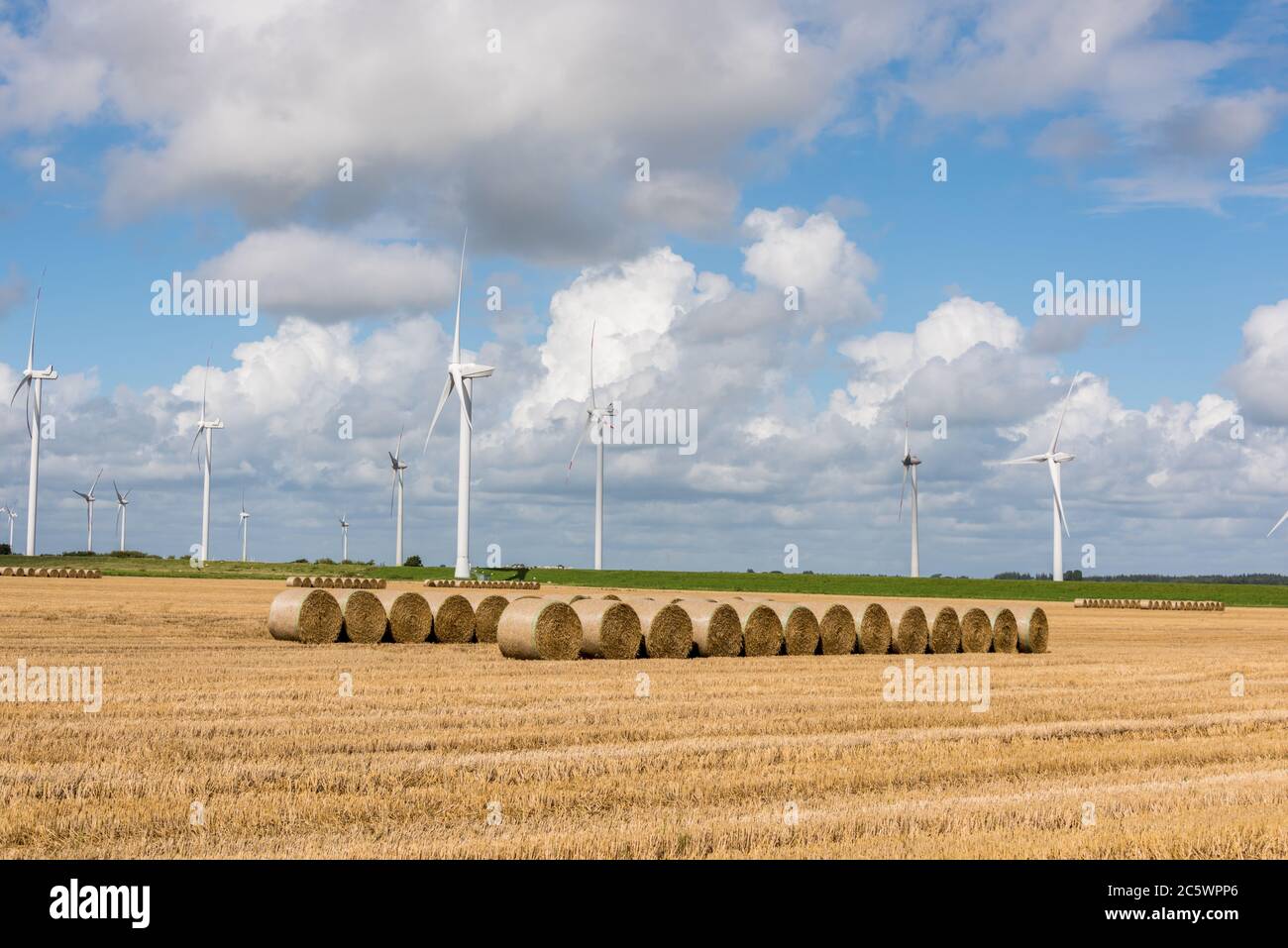 Windpark auf landwirtschaftlicher Nutzfläche Stock Photo