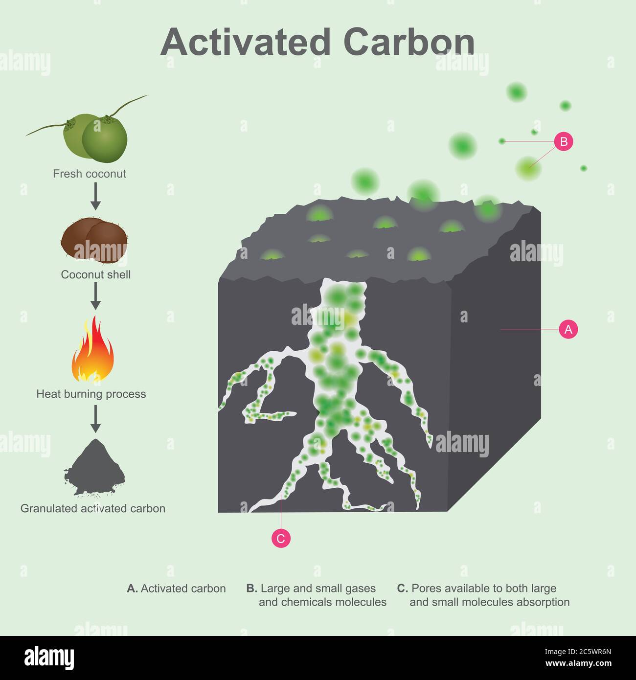 Activated Carbon. After coconut shell burning and grind into small pieces, the results an activated carbon, it have property absorb gases and smell. Stock Vector