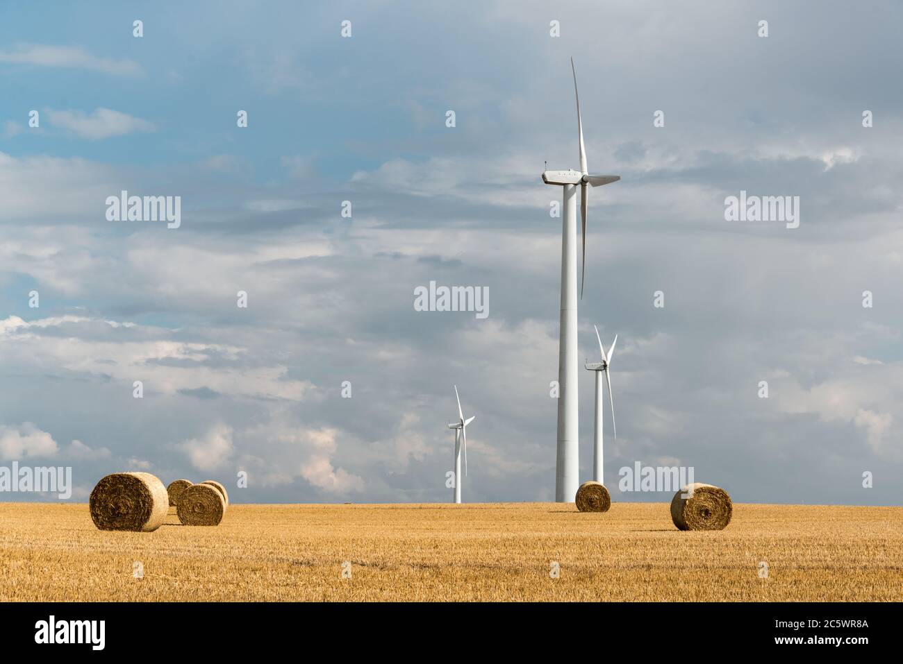 Windkraftanlagen im Getreidefeld Stock Photo