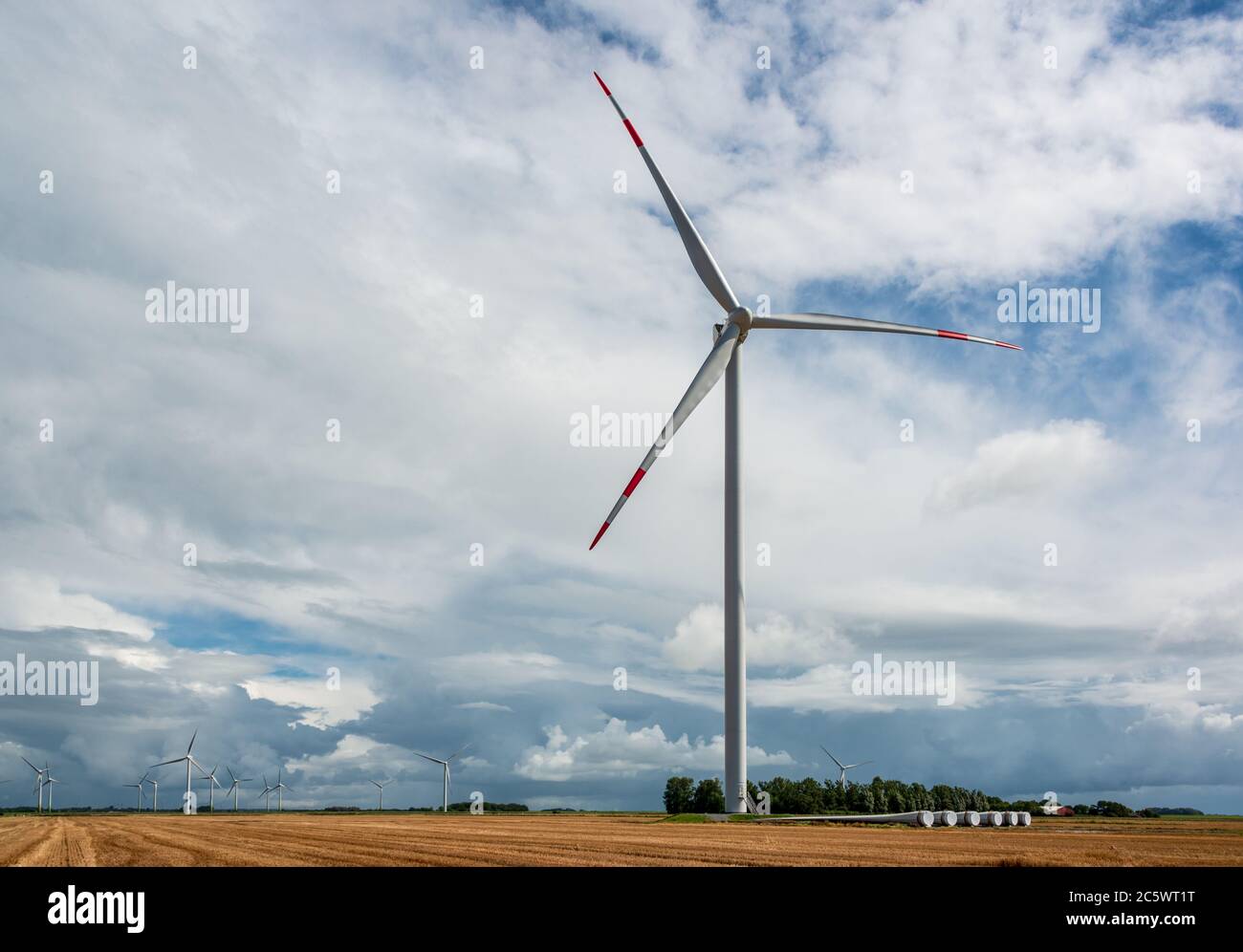 Windpark an einem Deich an der Nordseeküste während der Getreideernte Stock Photo