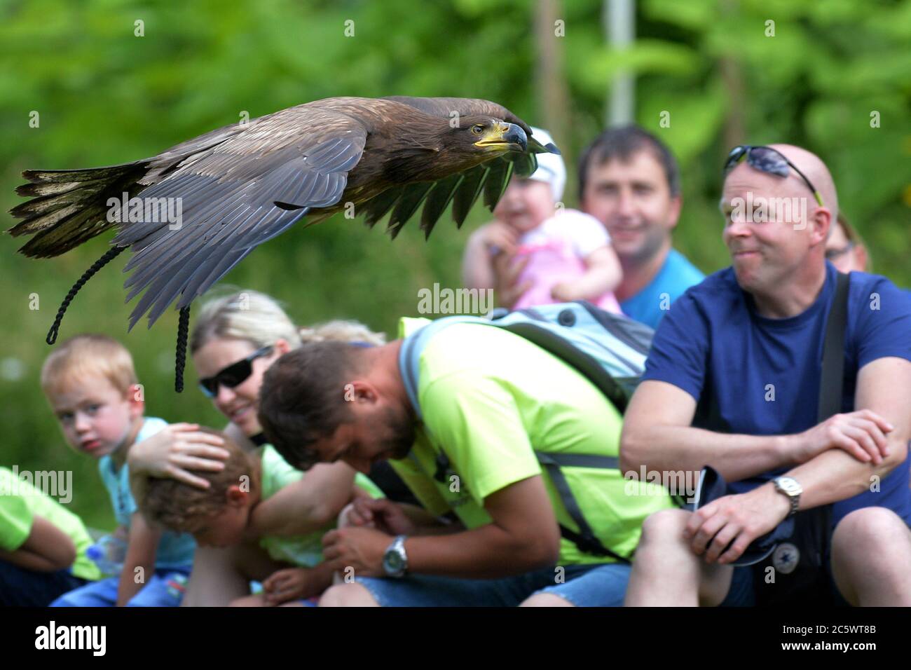 Jihlava, Czech Republic. 5th July, 2020. Falconer Eduard Skaloud presents birds of prey to zoo visitors. Located at the Jihlava Zoo, you can come face to face with the magnificent bald eagle and beautiful owls. During the day you can experience one of the most exciting ''Birds of Prey'' displays in the Czech Repubic. Credit: Slavek Ruta/ZUMA Wire/Alamy Live News Stock Photo