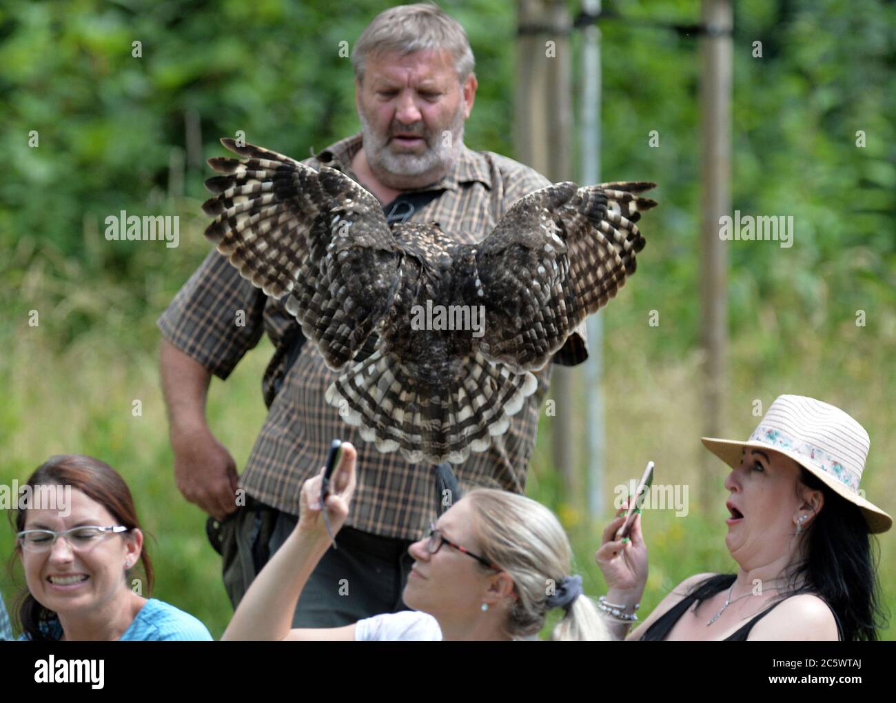 Jihlava, Czech Republic. 5th July, 2020. Falconer Eduard Skaloud (on photo) presents birds of prey to zoo visitors. Located at the Jihlava Zoo, you can come face to face with the magnificent bald eagle and beautiful owls. During the day you can experience one of the most exciting ''Birds of Prey'' displays in the Czech Repubic. Credit: Slavek Ruta/ZUMA Wire/Alamy Live News Stock Photo