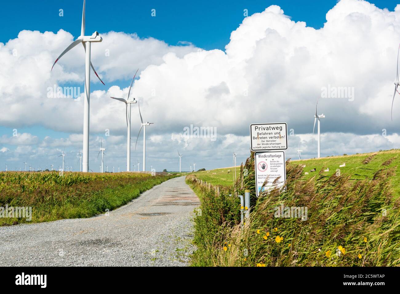 Zugang zum Windpark im Reußenkoog an der Nordseeküste Stock Photo