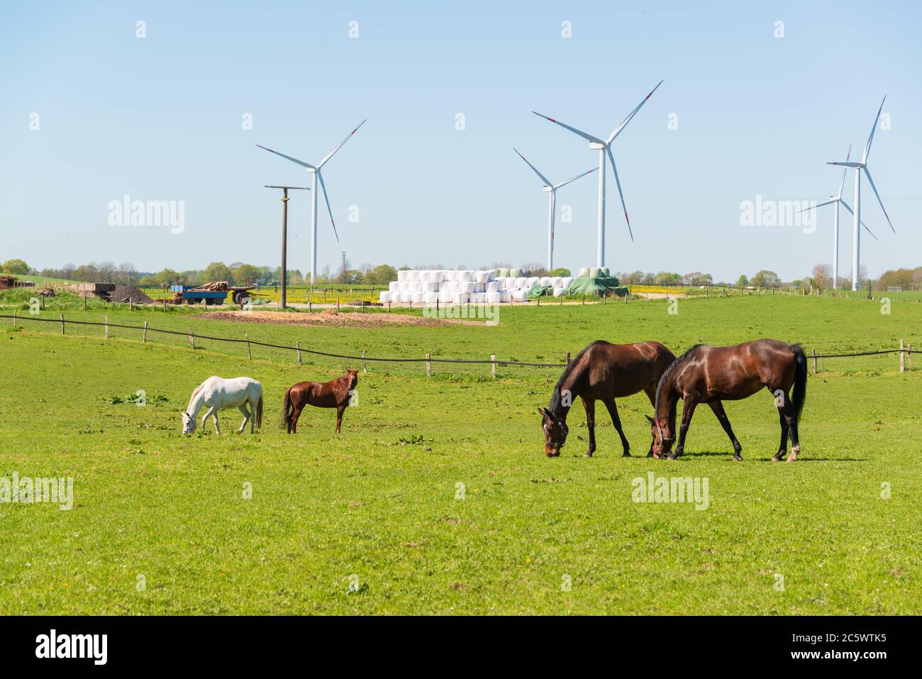 Pferde auf einer Wiese vor einem Windpark Stock Photo
