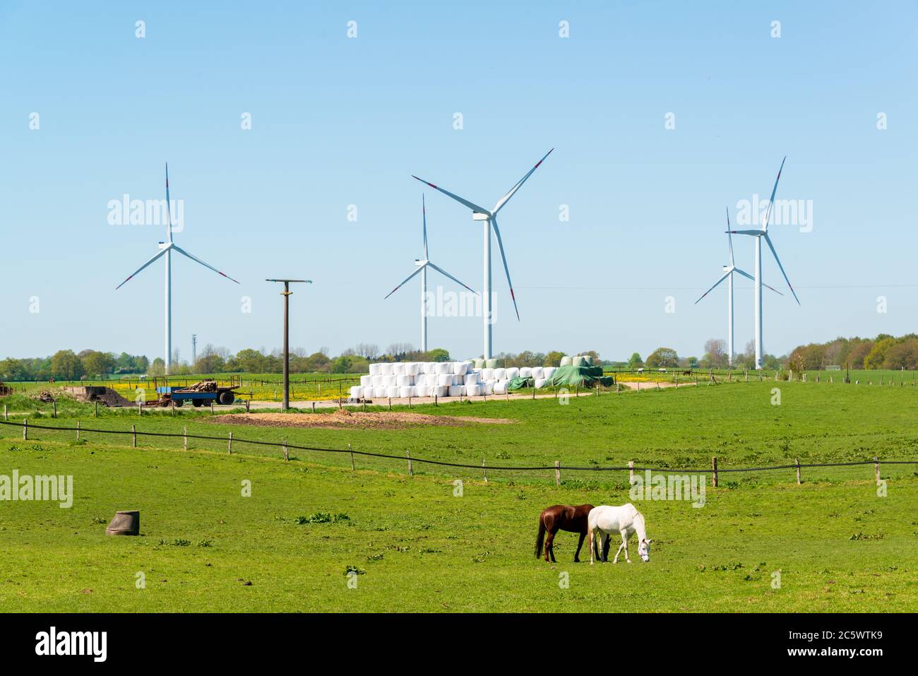 Pferde auf einer Wiese vor Windkraftanlagen Stock Photo