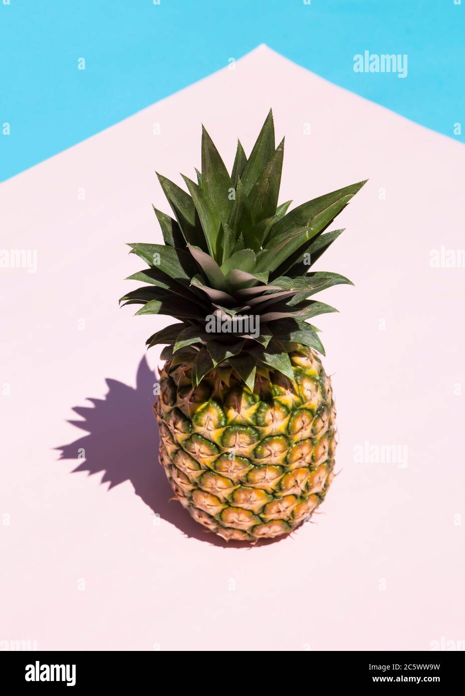 Pineapple on pink and blue background with the shadow Stock Photo