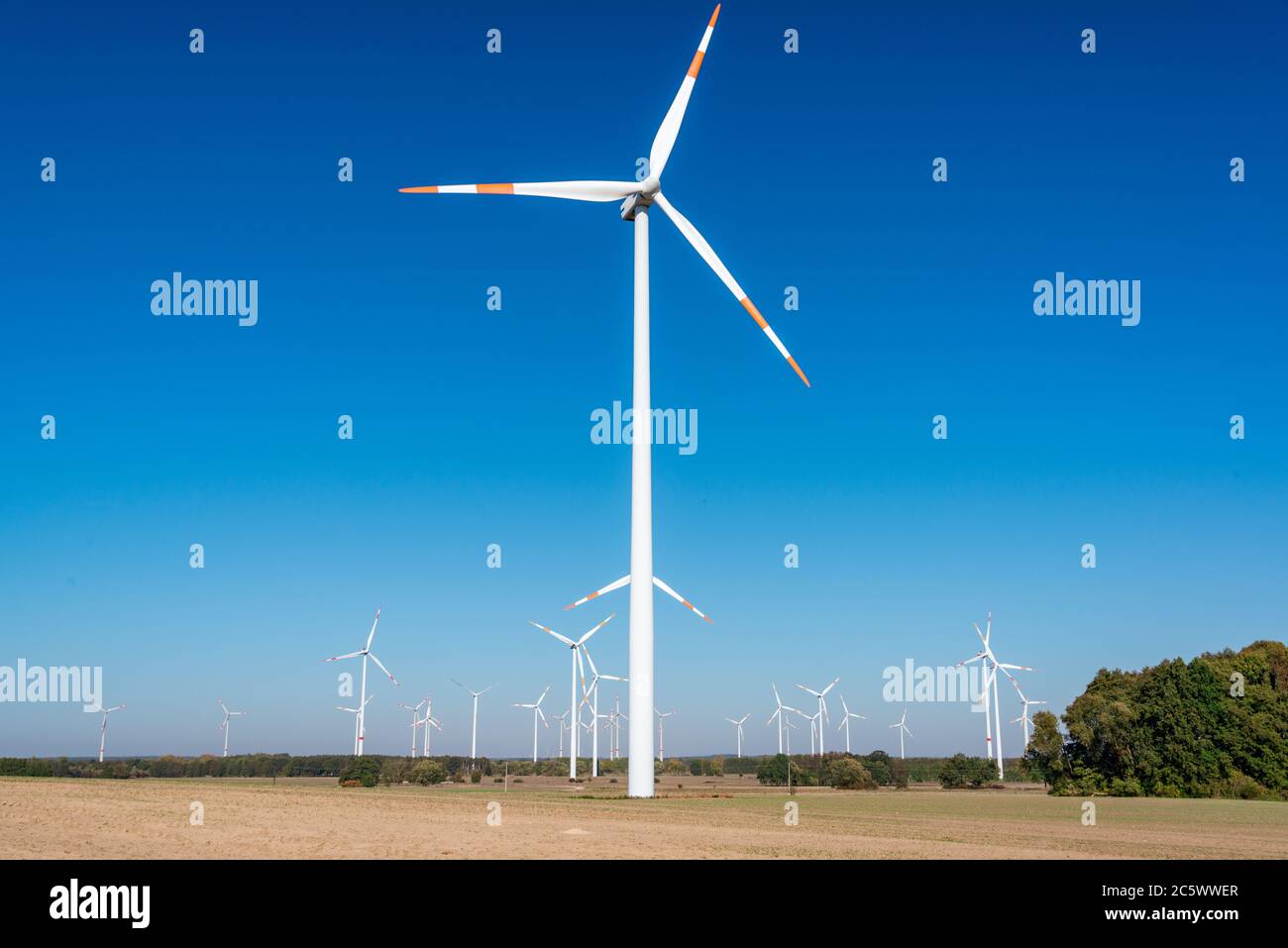Windpark in Brandenburg, Windräder drehen sich im Wind Stock Photo