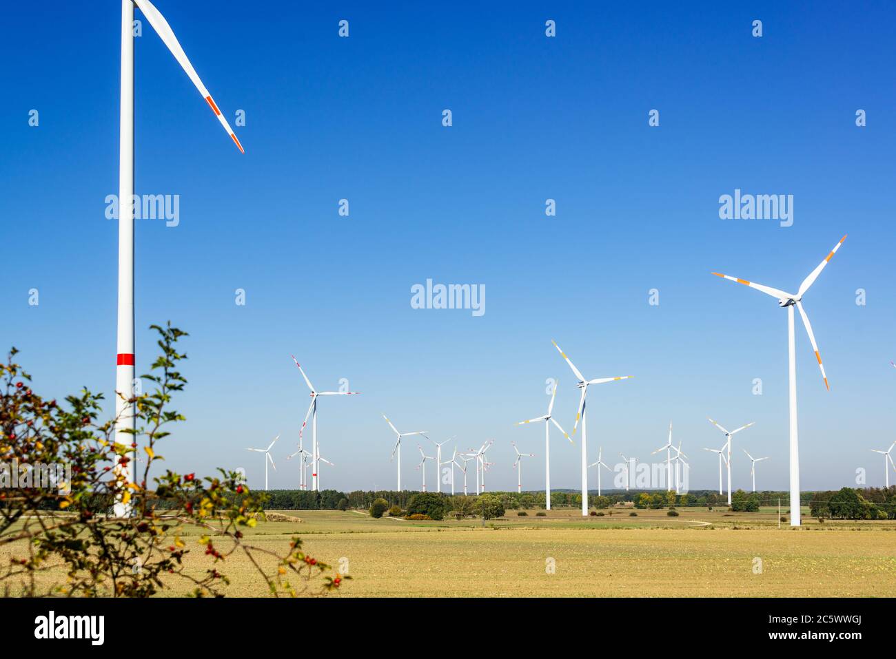Windpark Winkrafträder drehen sich im Wind Stock Photo