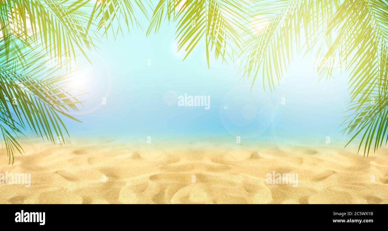 Tropical background with beach sand and palm leaves Stock Photo - Alamy