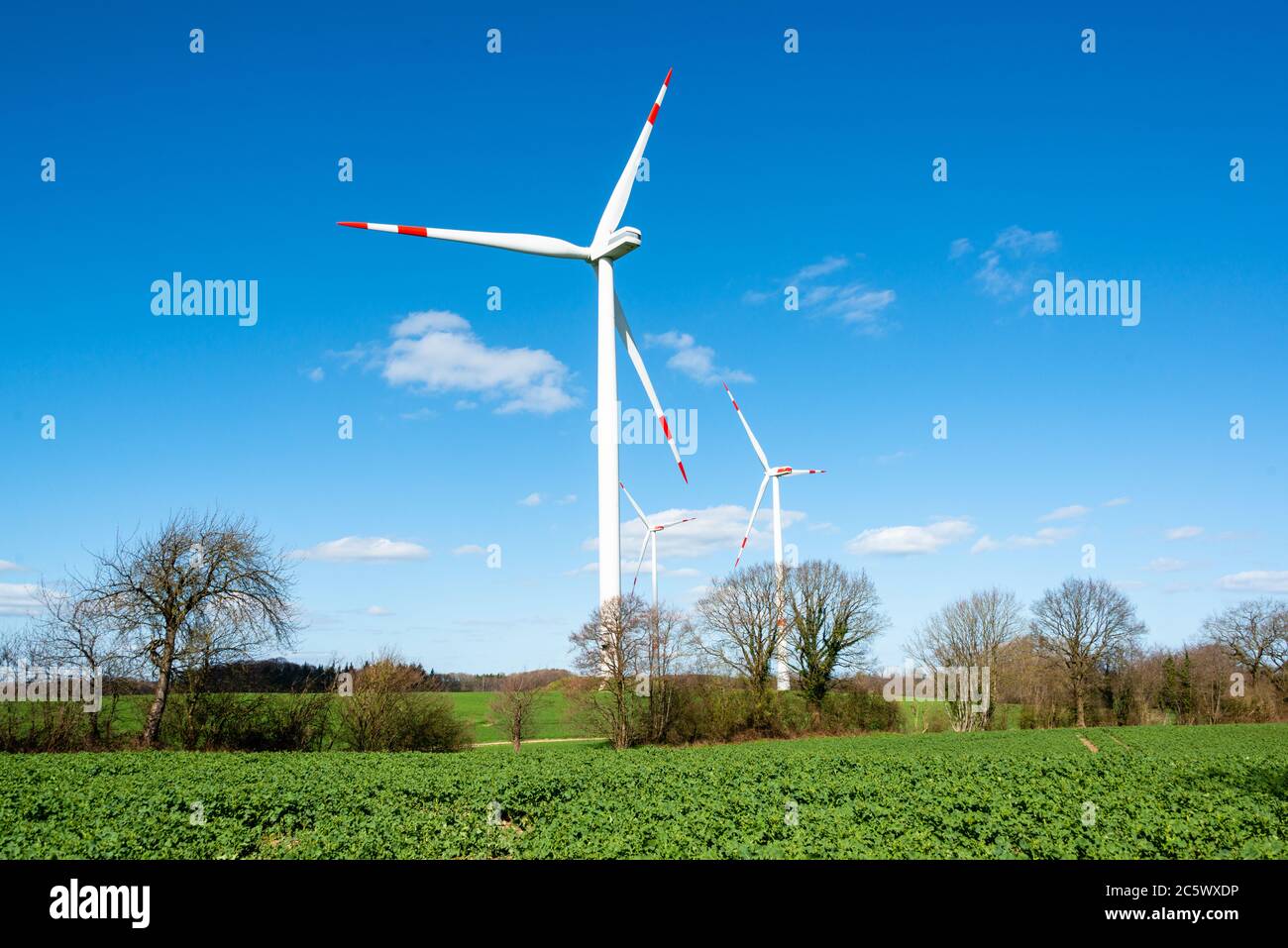 Windkraftanlagen auf einem Acker in Schleswig-Holstein im Frühling Stock Photo