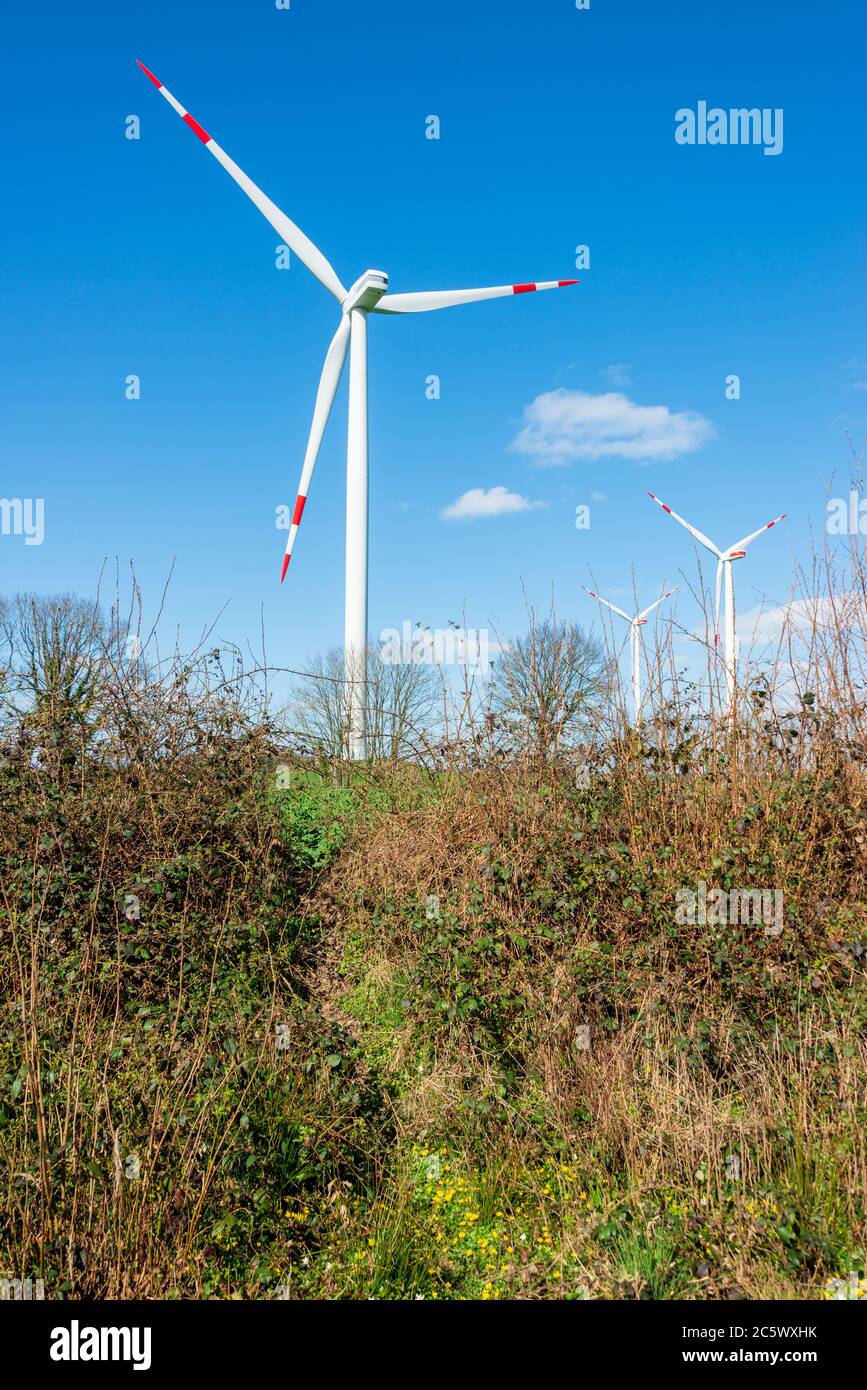Windkraftanlagen auf einem Acker in Schleswig-Holstein im Frühling Stock Photo