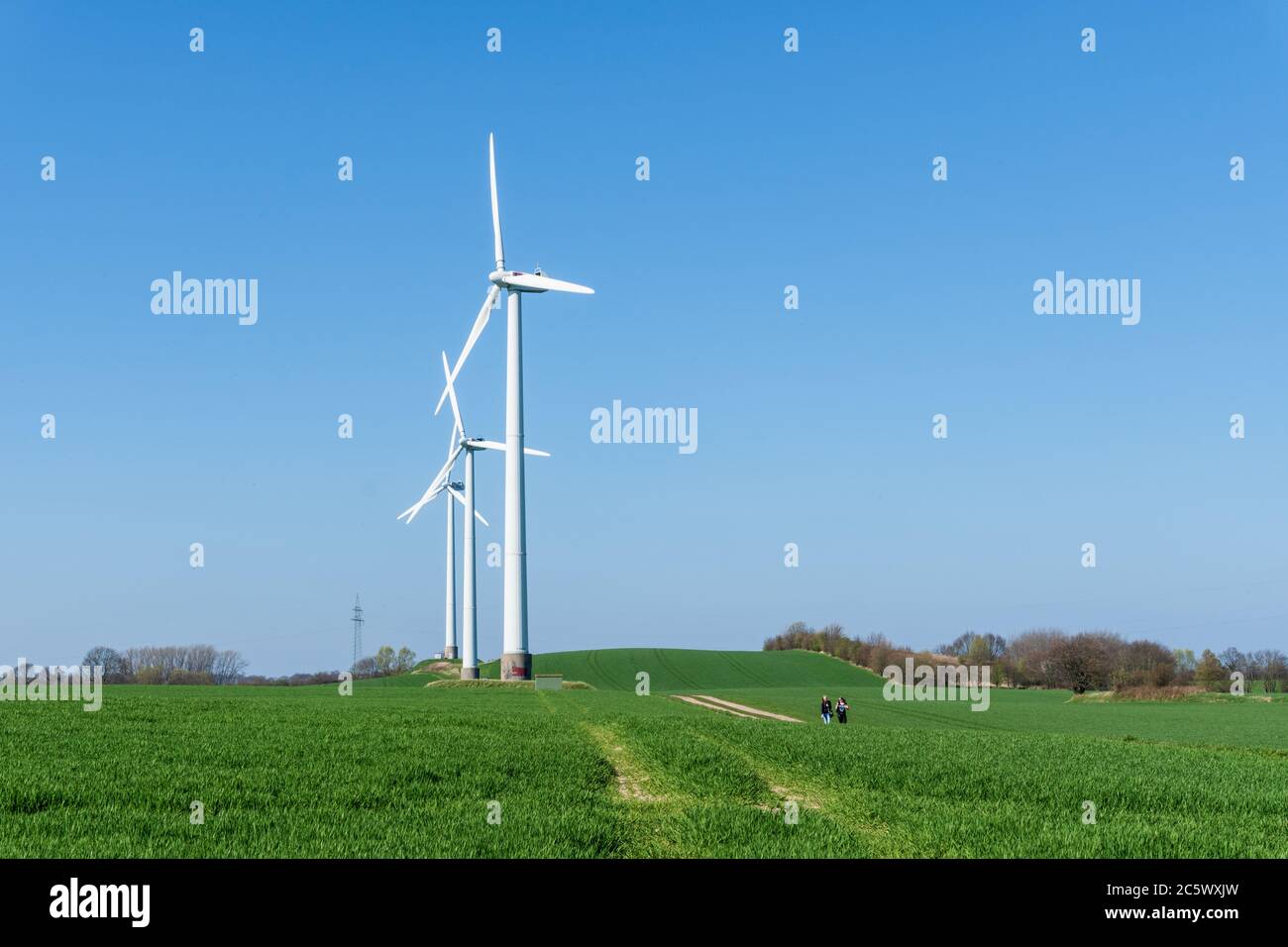 Windkraftanlagen auf einem Feld in Schleswig-Holstein Stock Photo
