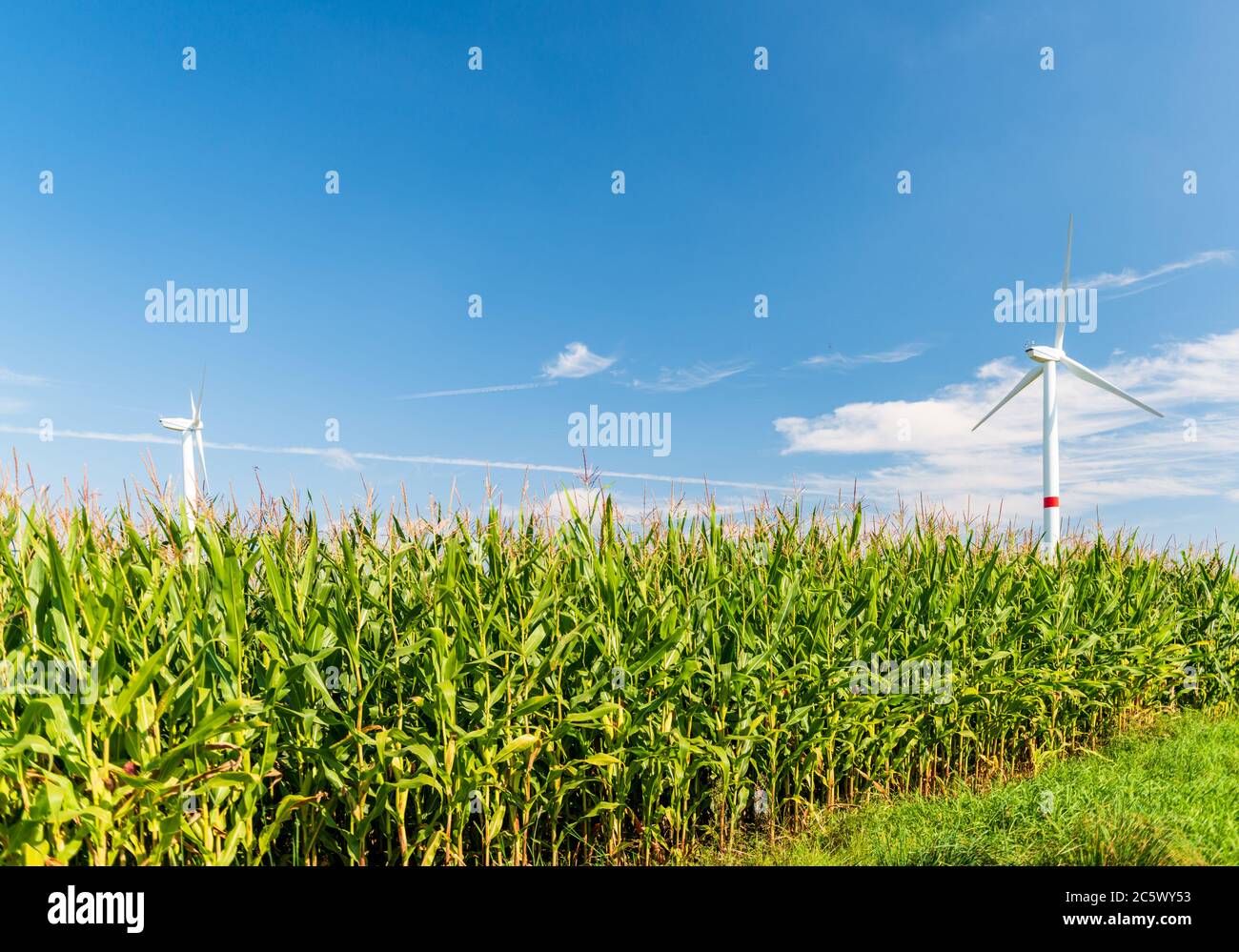 Windkraftanlagen auf einem Feld in Schleswig-Holstein Stock Photo