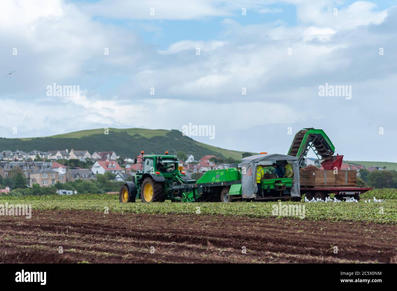 Harvesting tractor farm land scotland hires stock photography and