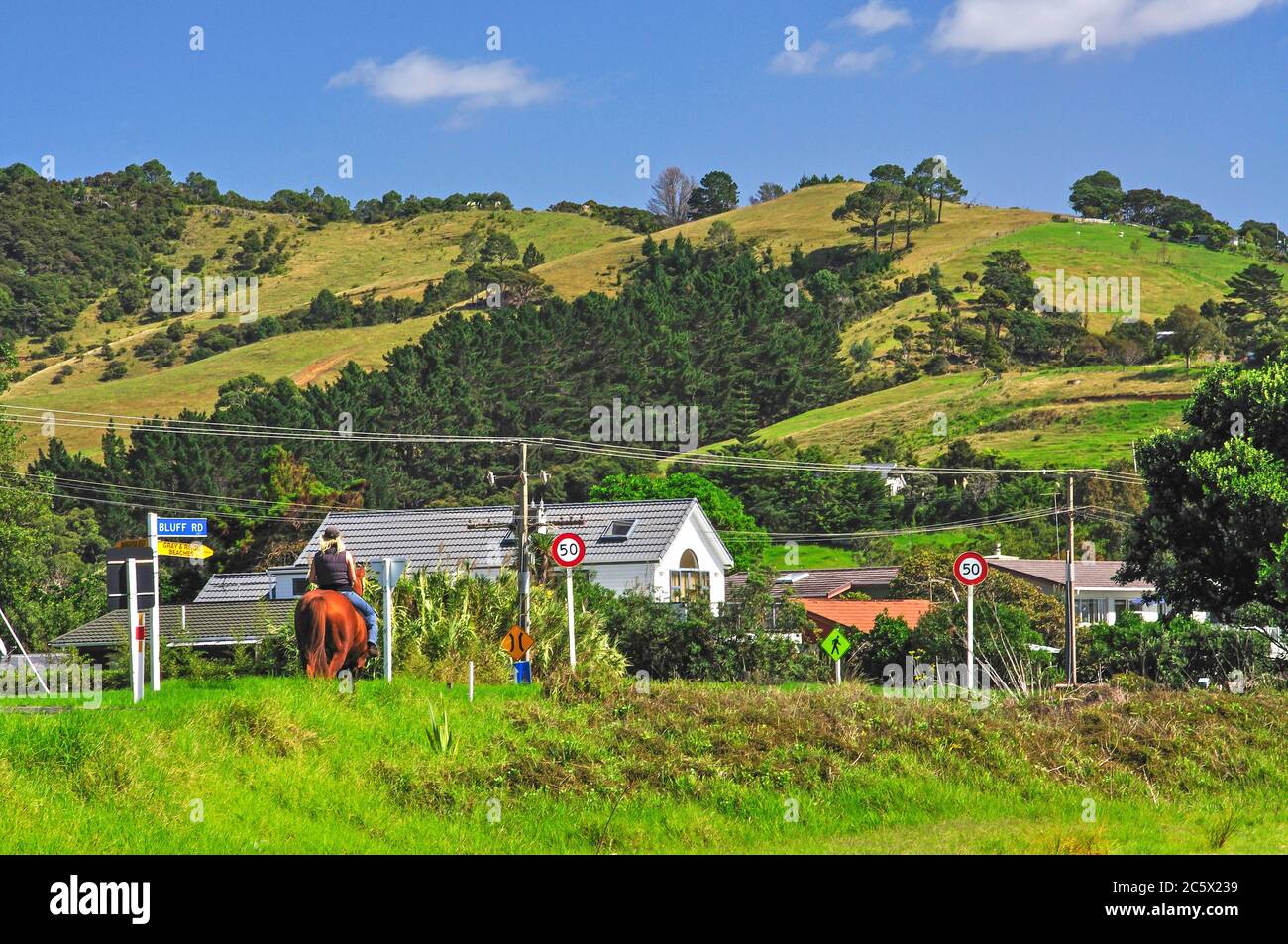 Kuaotuna, Coromandel Peninsula, Waikato Region, North Island, New Zealand Stock Photo