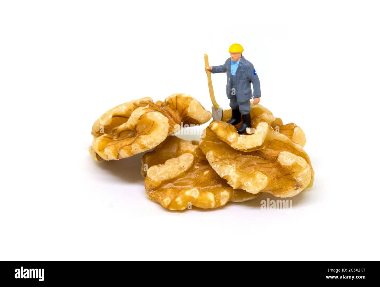Miniature worker on natural walnut. Tasty harvest of old gardener with shovel. Seeding and digging ground for food. Walnut pile mountain with miner ti Stock Photo