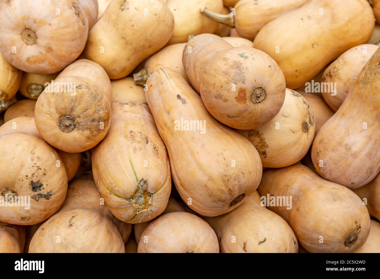 An abundance of butternut squash for sale on a market stall Stock Photo