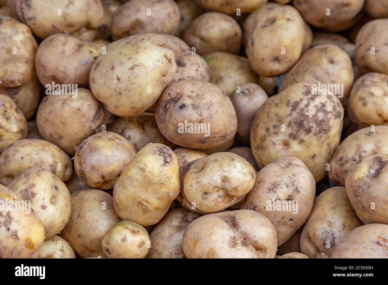 An abundance of potatoes for sale at a farmer's market Stock Photo Alamy