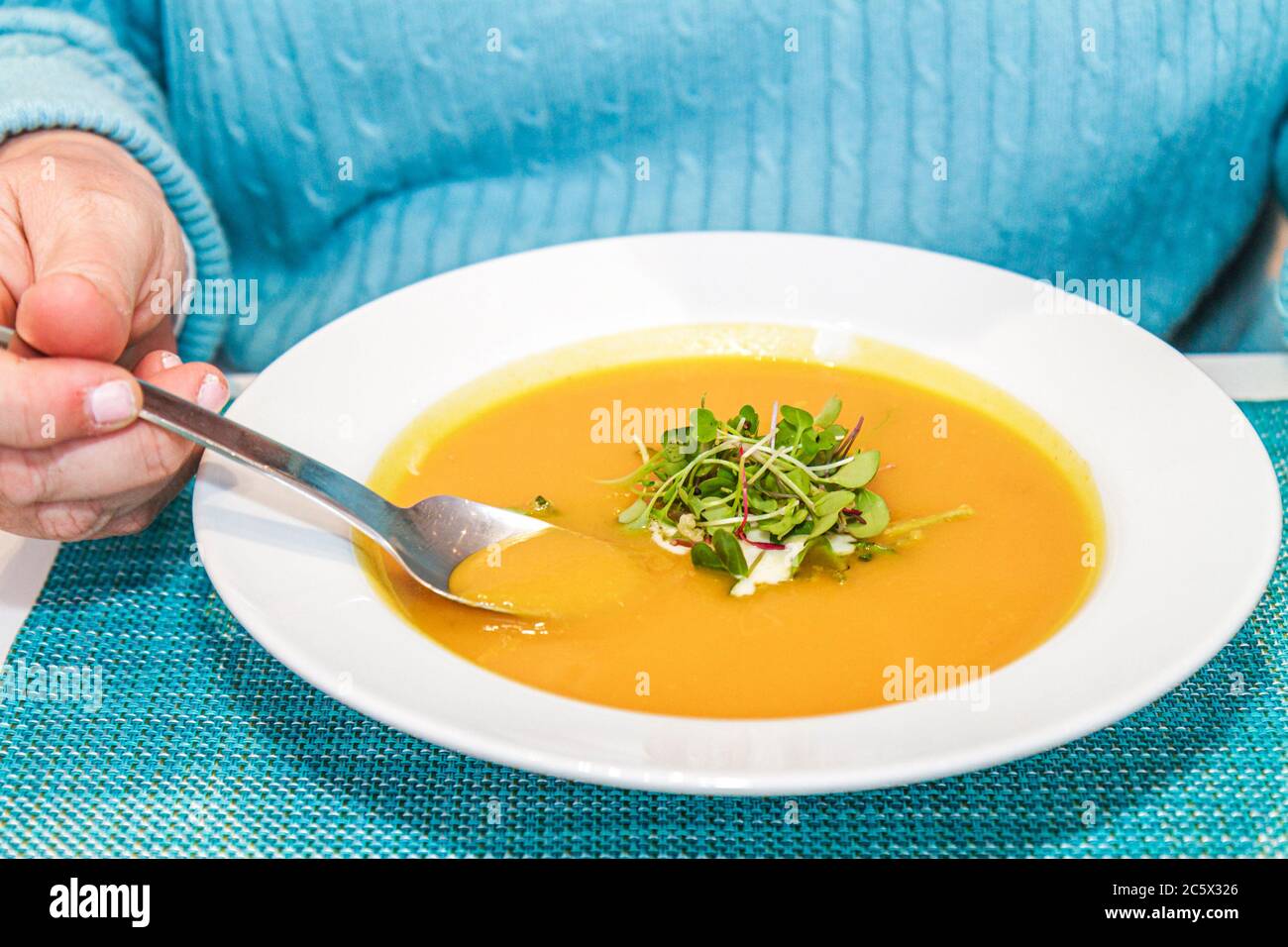 New York City,NYC NY Midtown,Manhattan,53rd Street,The Museum of Modern Art,MoMA,Terrace 5,cafe,carrot ginger soup,micro greens,bowl,spoon,restaurant Stock Photo
