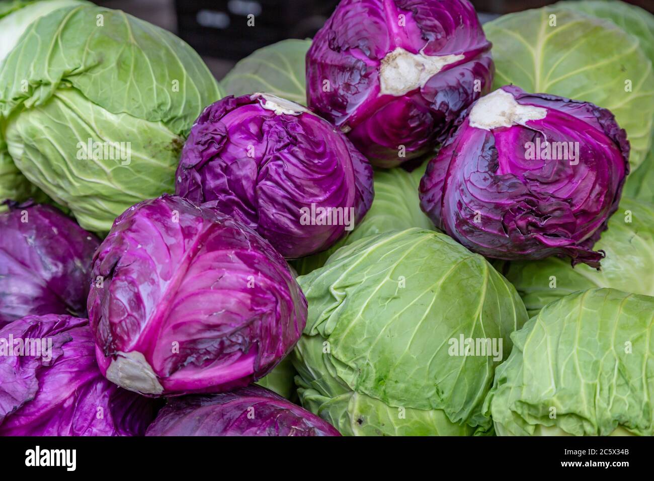A Selection of Mixed Cabbages For Sale on a Market Stall Stock Photo