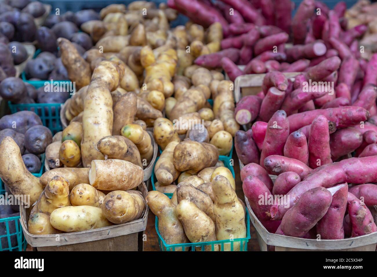 An assortment of potatoes for sale at a farmers market Stock Photo Alamy