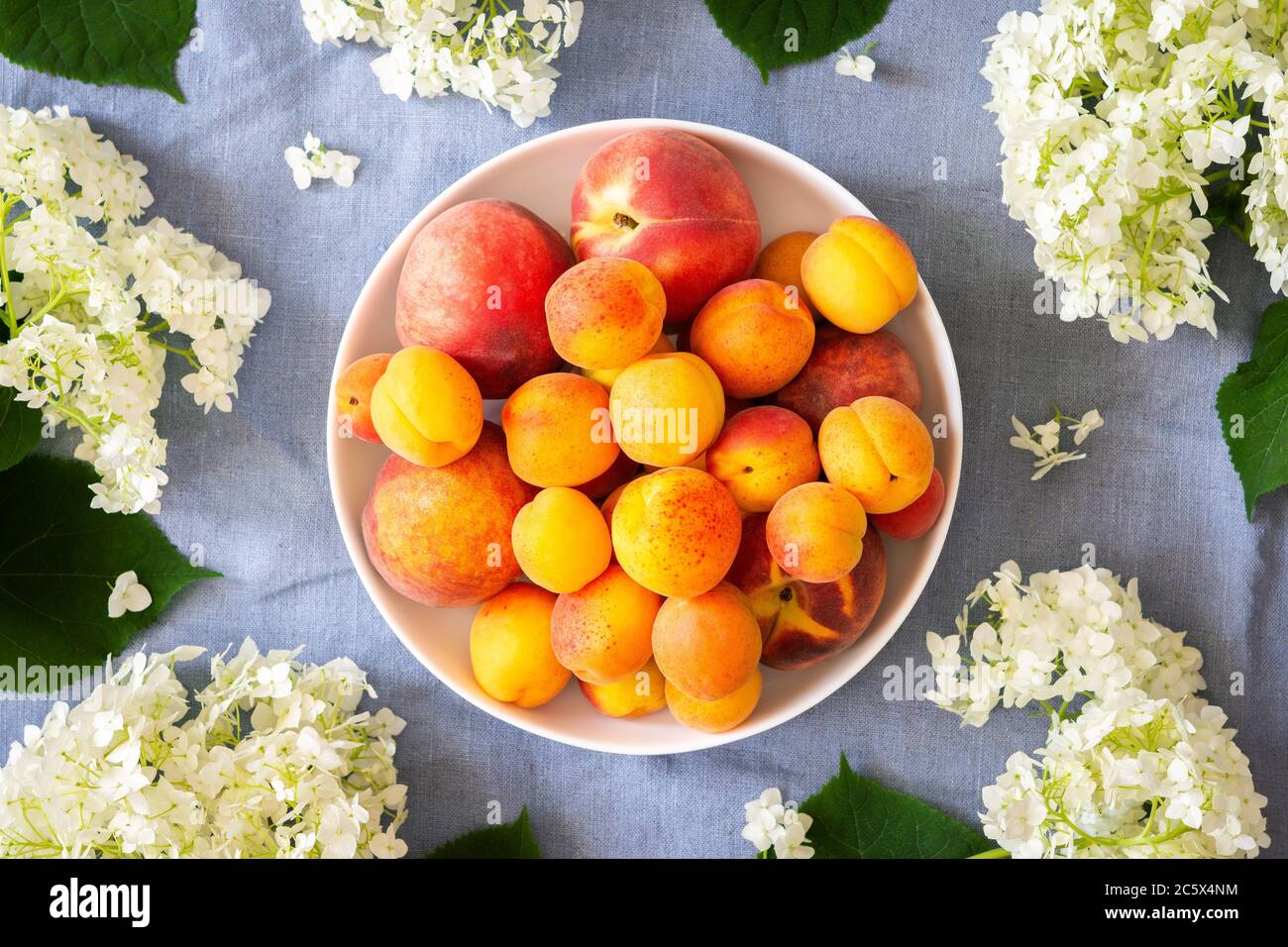 Vase of flowers viburnum opulus Roseum and ripe juicy apricots and peaches , top view Stock Photo