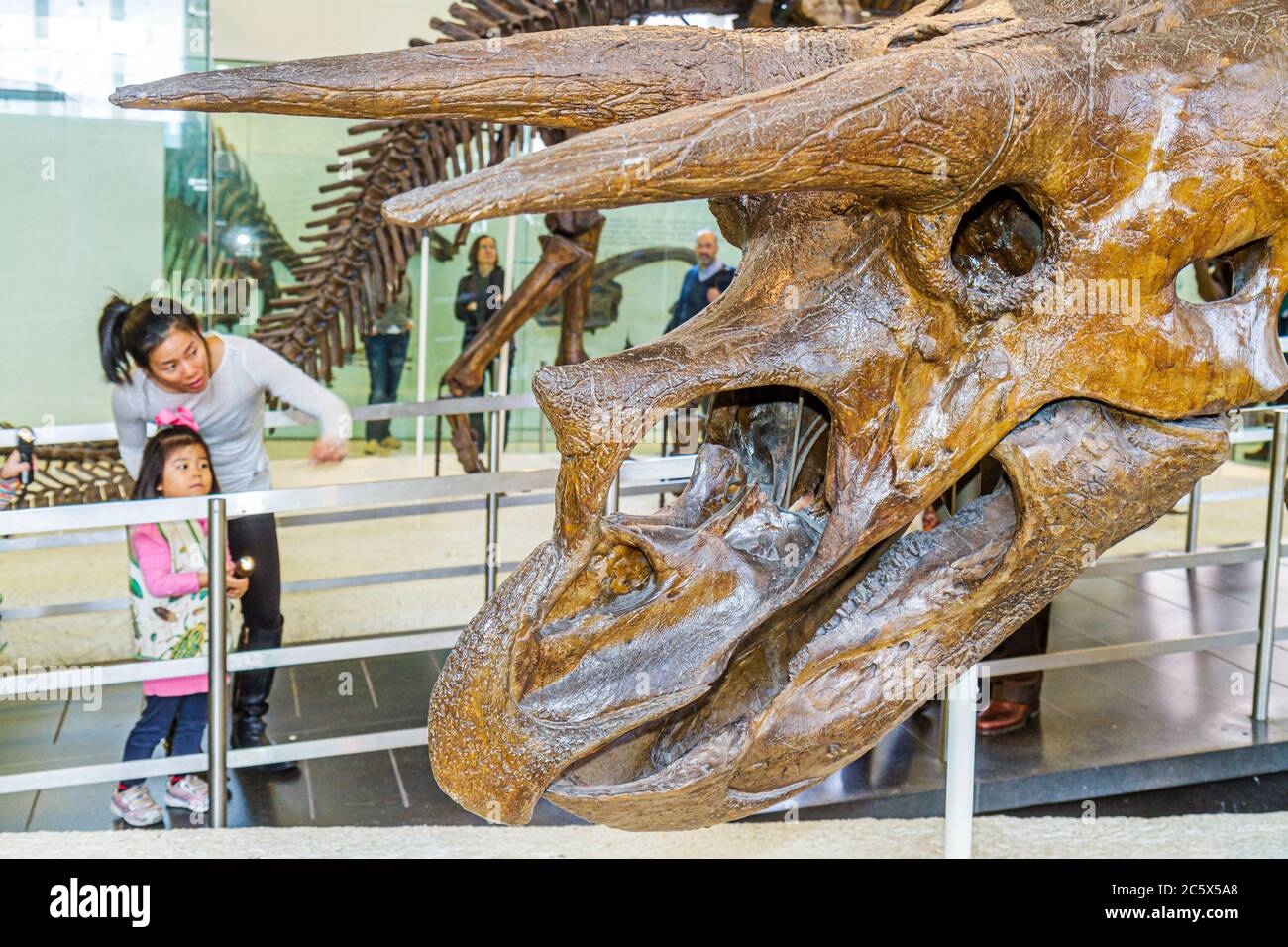 New York City,NYC NY Manhattan,Uptown,Central Park West,American Museum of Natural History,exhibit exhibition collection science,education,Asian woman Stock Photo