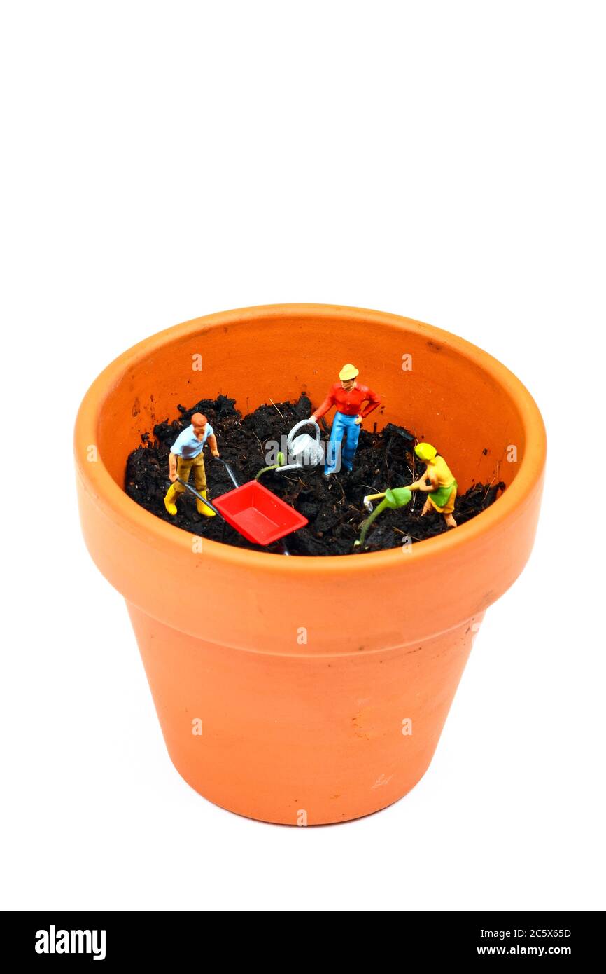 Miniature figure gardeners watering seedlings in a terracota plat pot gardening concept Stock Photo