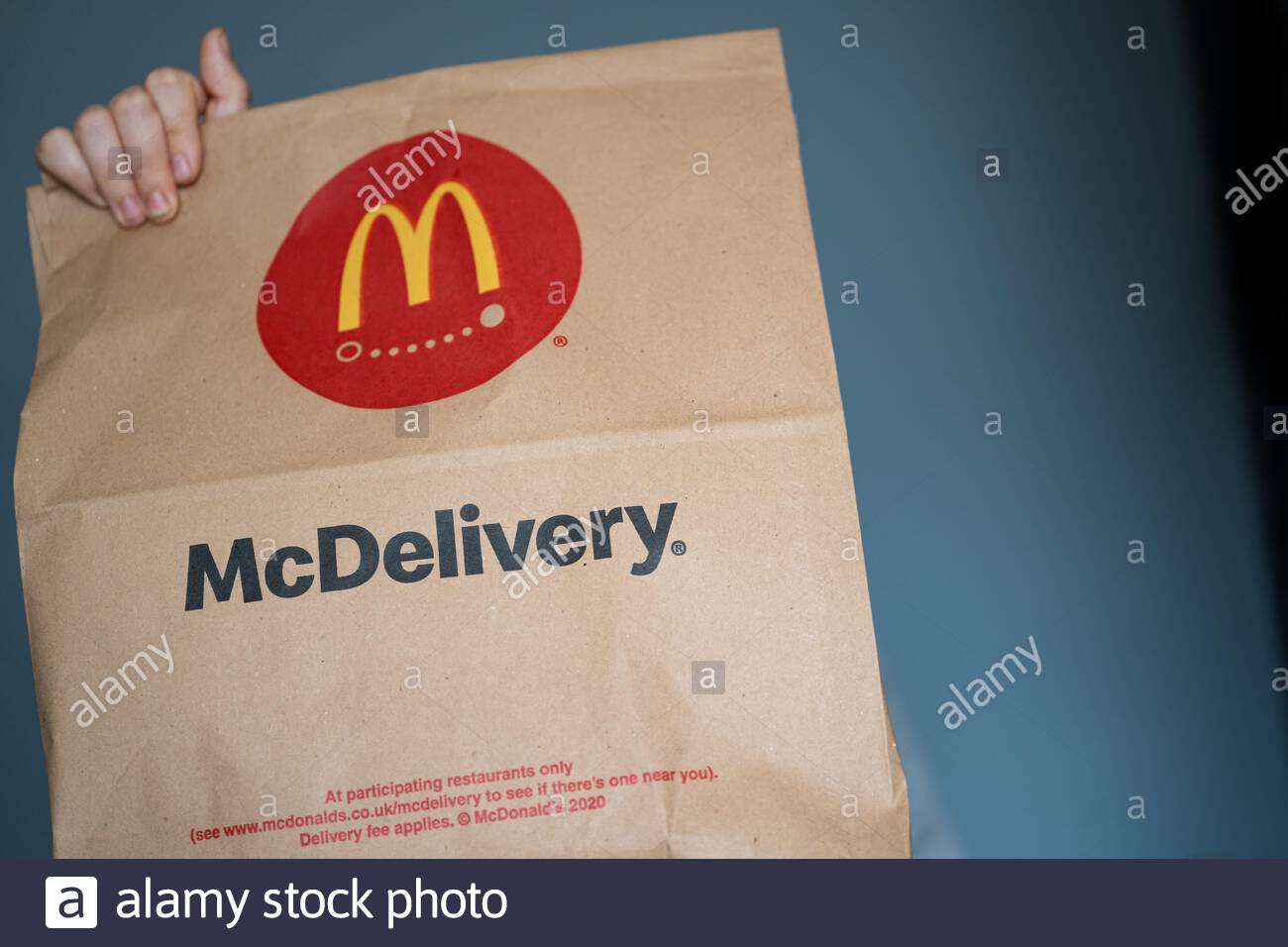 Mcdonalds Delivery Bag