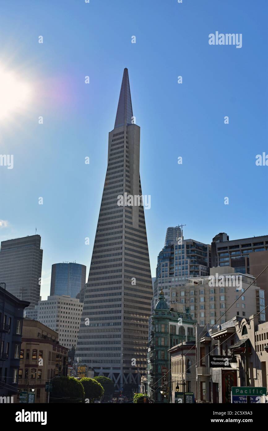 Smaller Buildings surround the Trans America Pyramid from Columbus street with the sun shining and a clear blue sky.  San Francisco, California. Stock Photo
