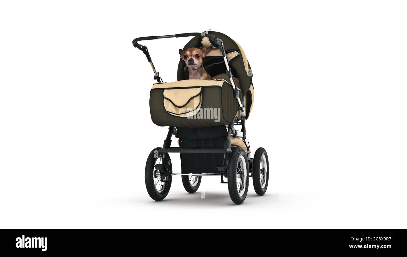 Dog in baby carriages. 3d rendering Stock Photo Alamy