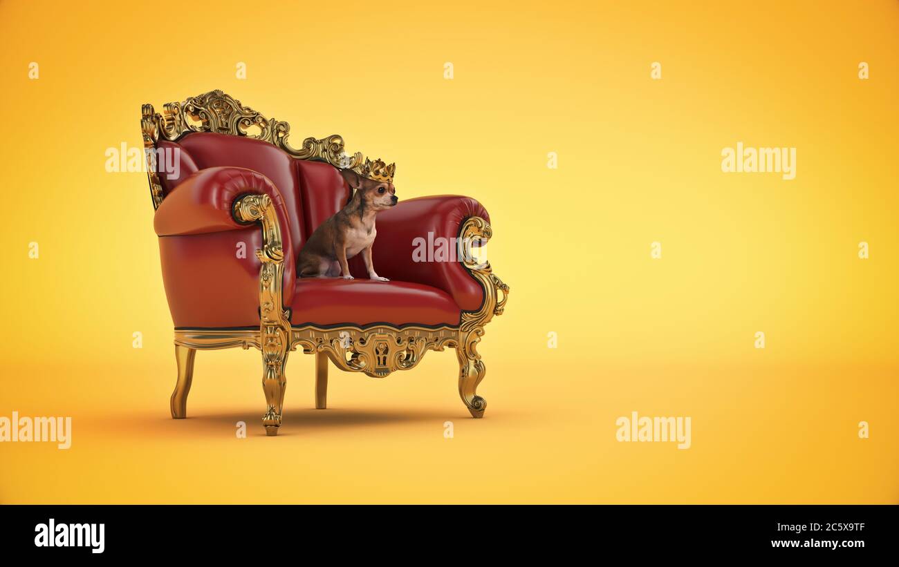 Dog with crown in a chair. 3d rendering Stock Photo