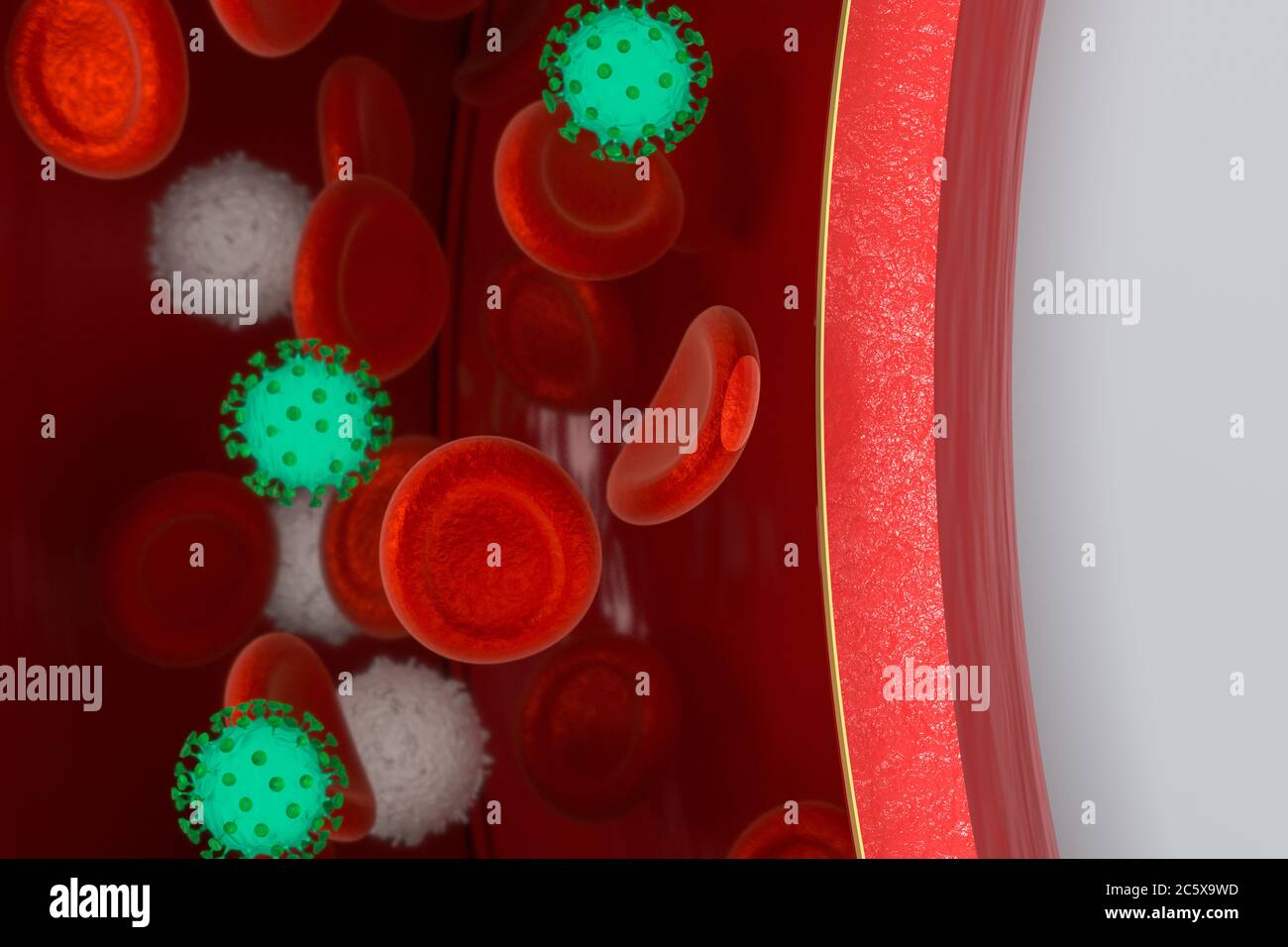 Virus in the blood vessel, with Red and white blood cells, 3d rendering ...