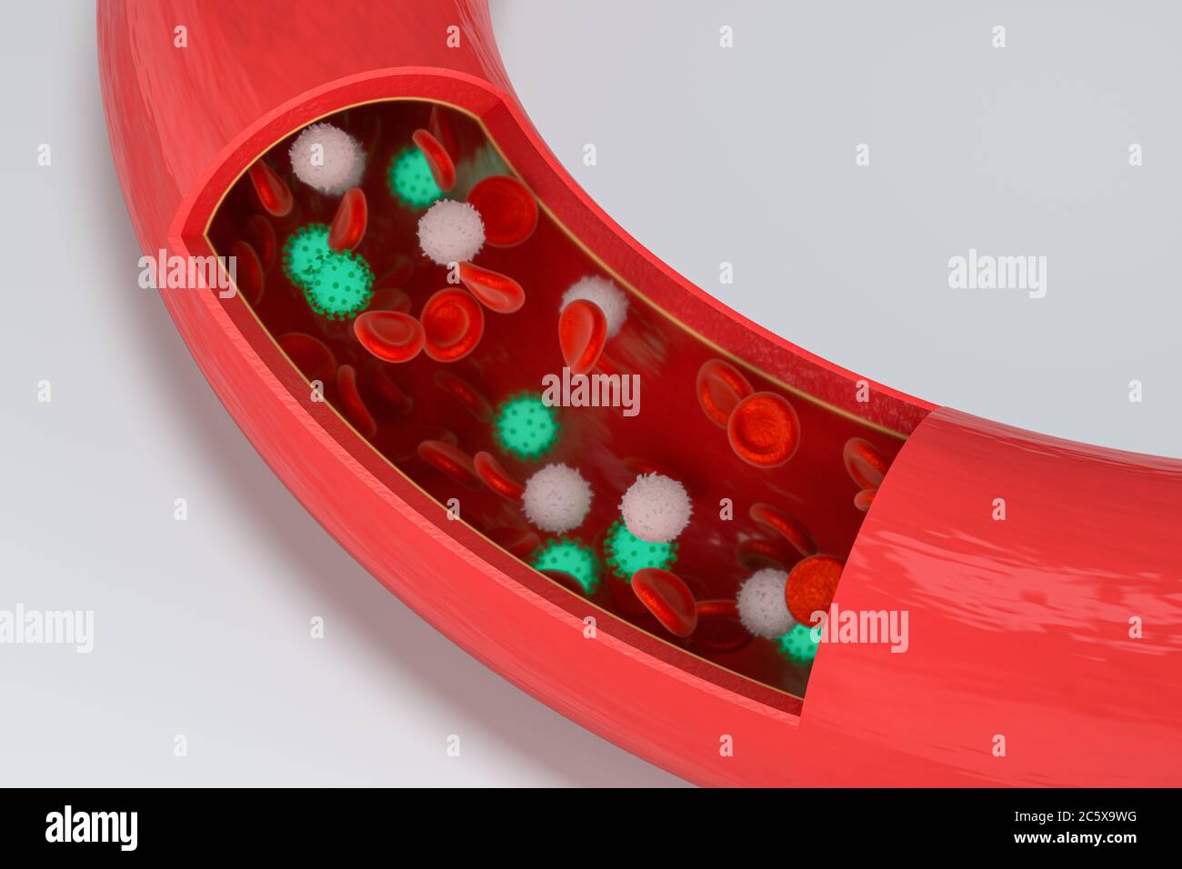 Virus in the blood vessel, with Red and white blood cells, 3d rendering ...