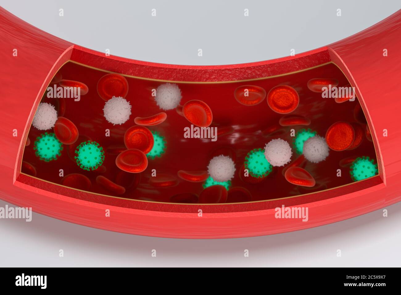 Virus in the blood vessel, with Red and white blood cells, 3d rendering ...