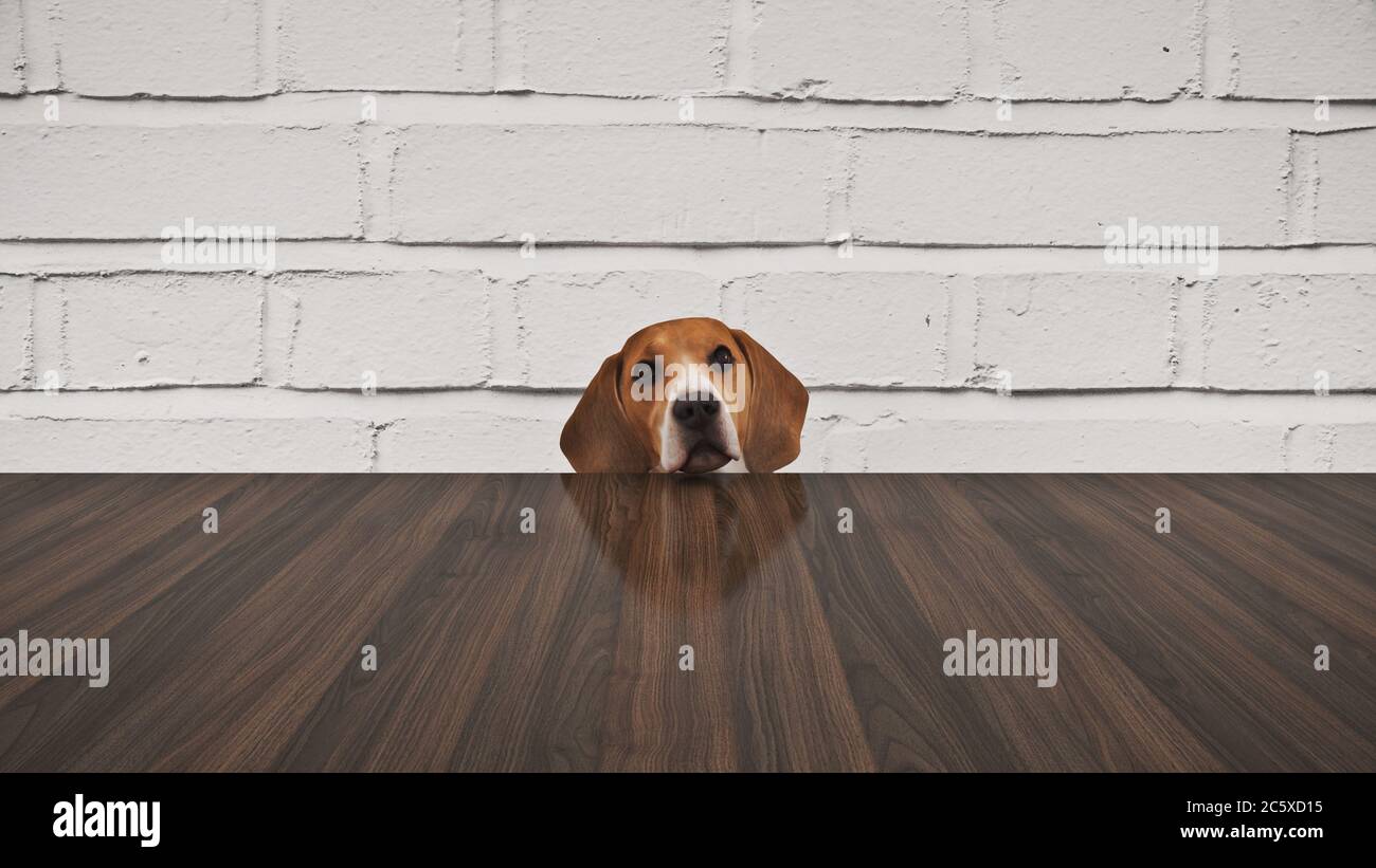 The dog is behind the table. The dog is behind the table